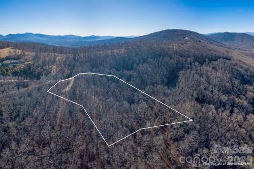 96 Castanea Mountain Drive Property Photo 1
