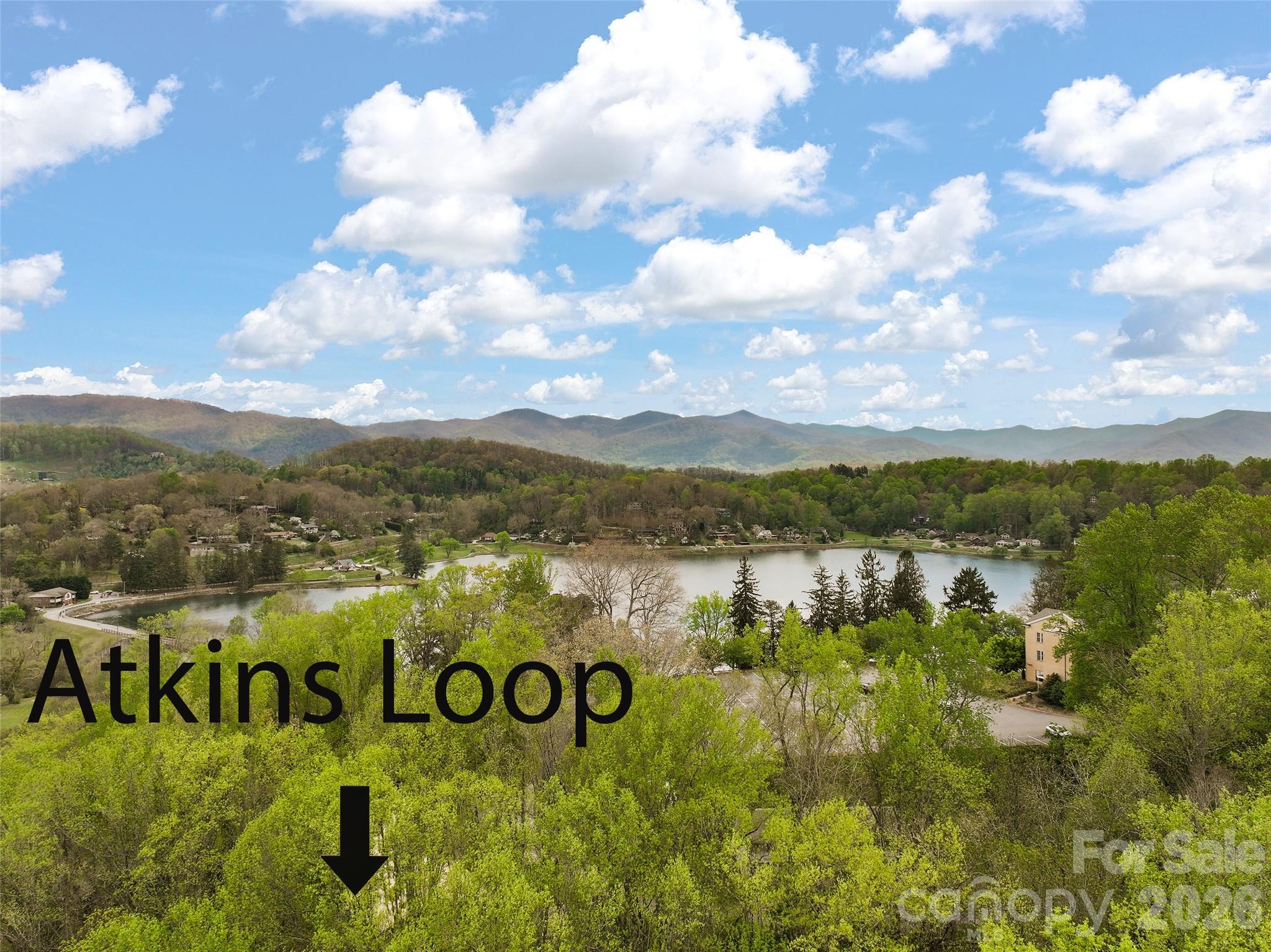215 Atkins Loop Property Photo 43