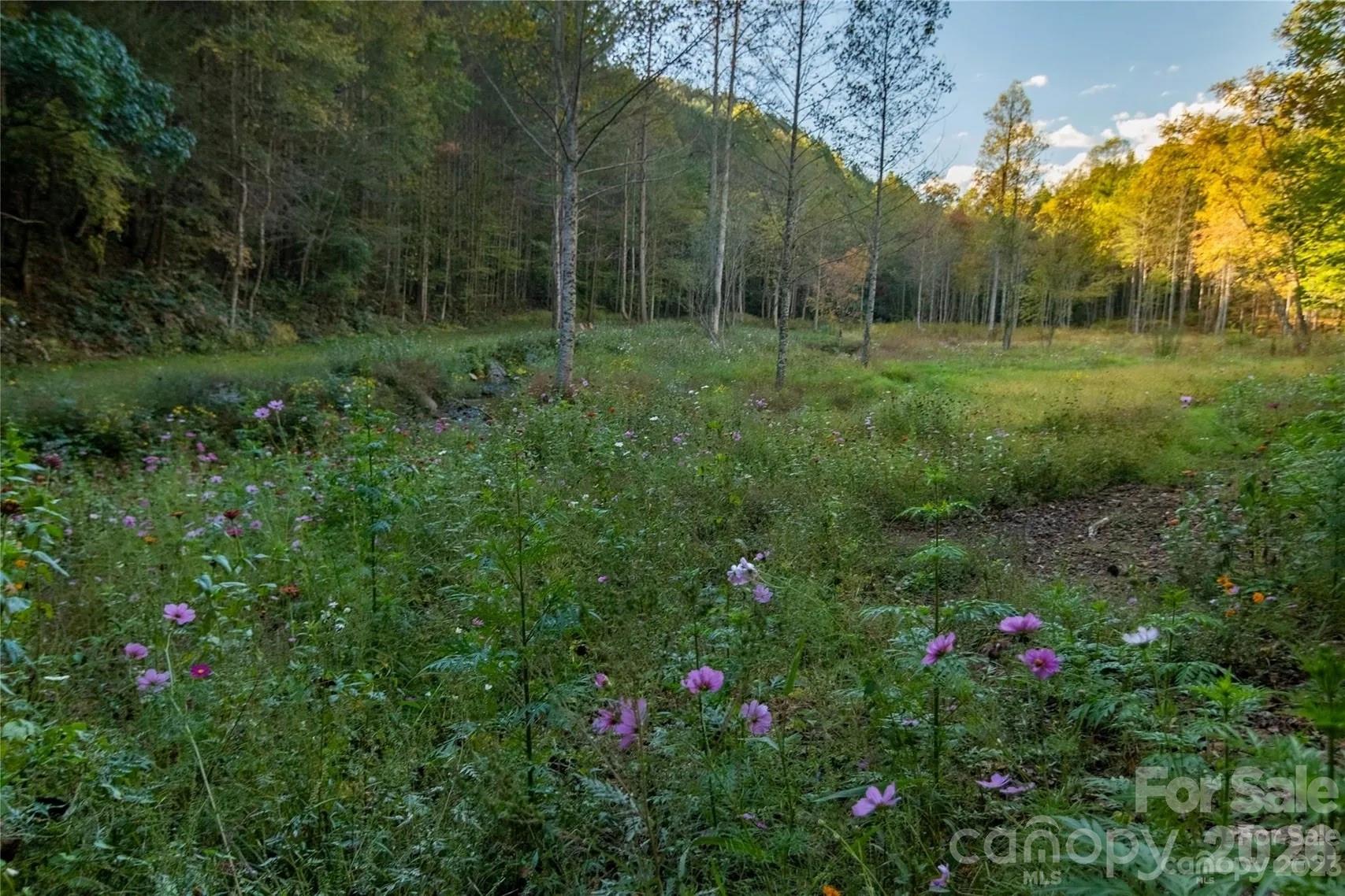 2108 River Hill Road Property Photo 44