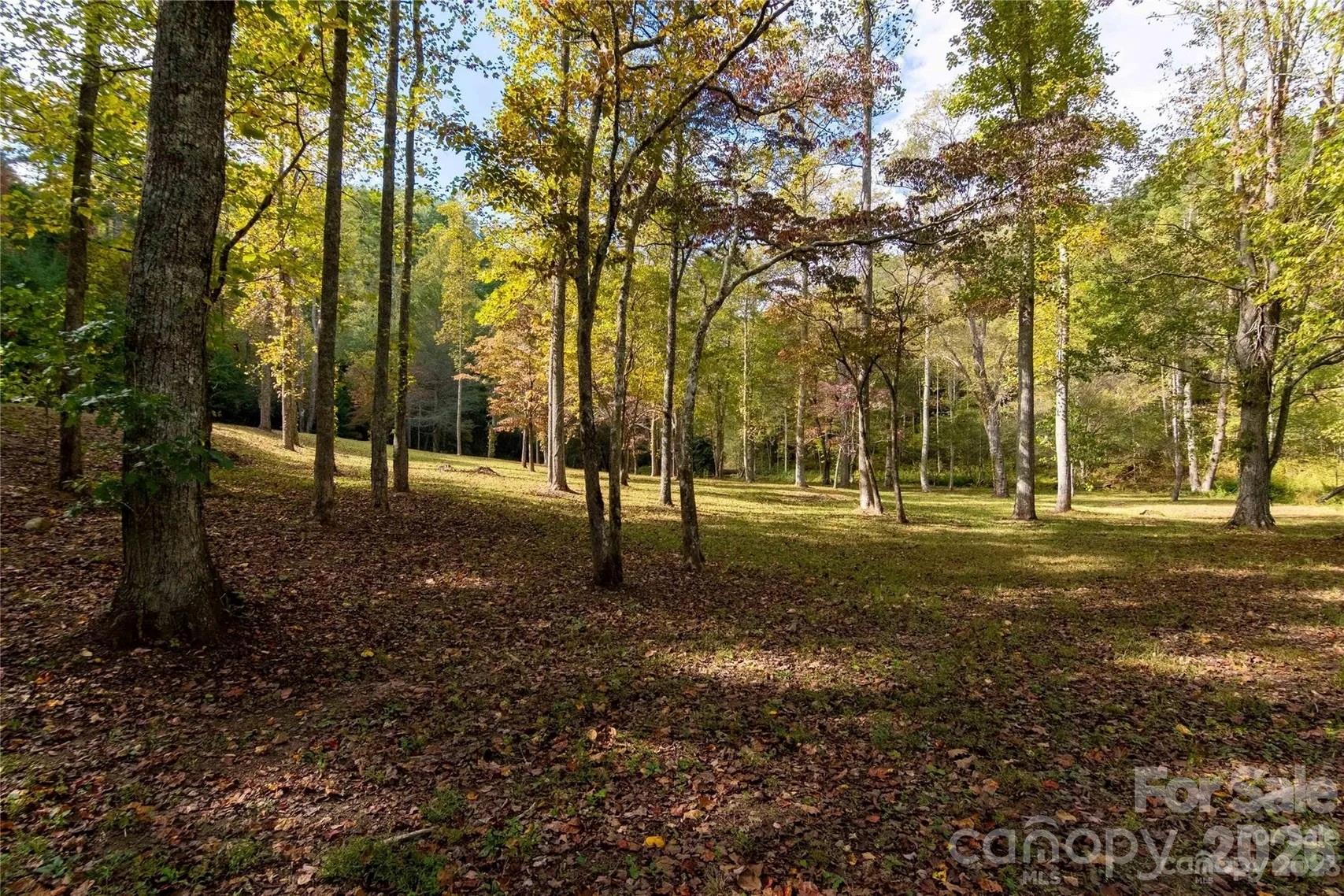 2108 River Hill Road Property Photo 45