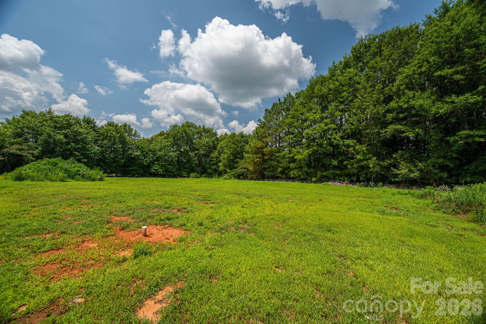 808 W Eagleview Lane Property Photo 8