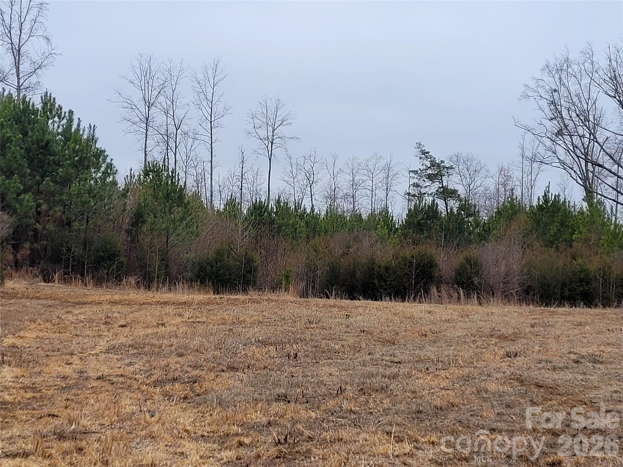 00000 Frazier Road Property Photo 6