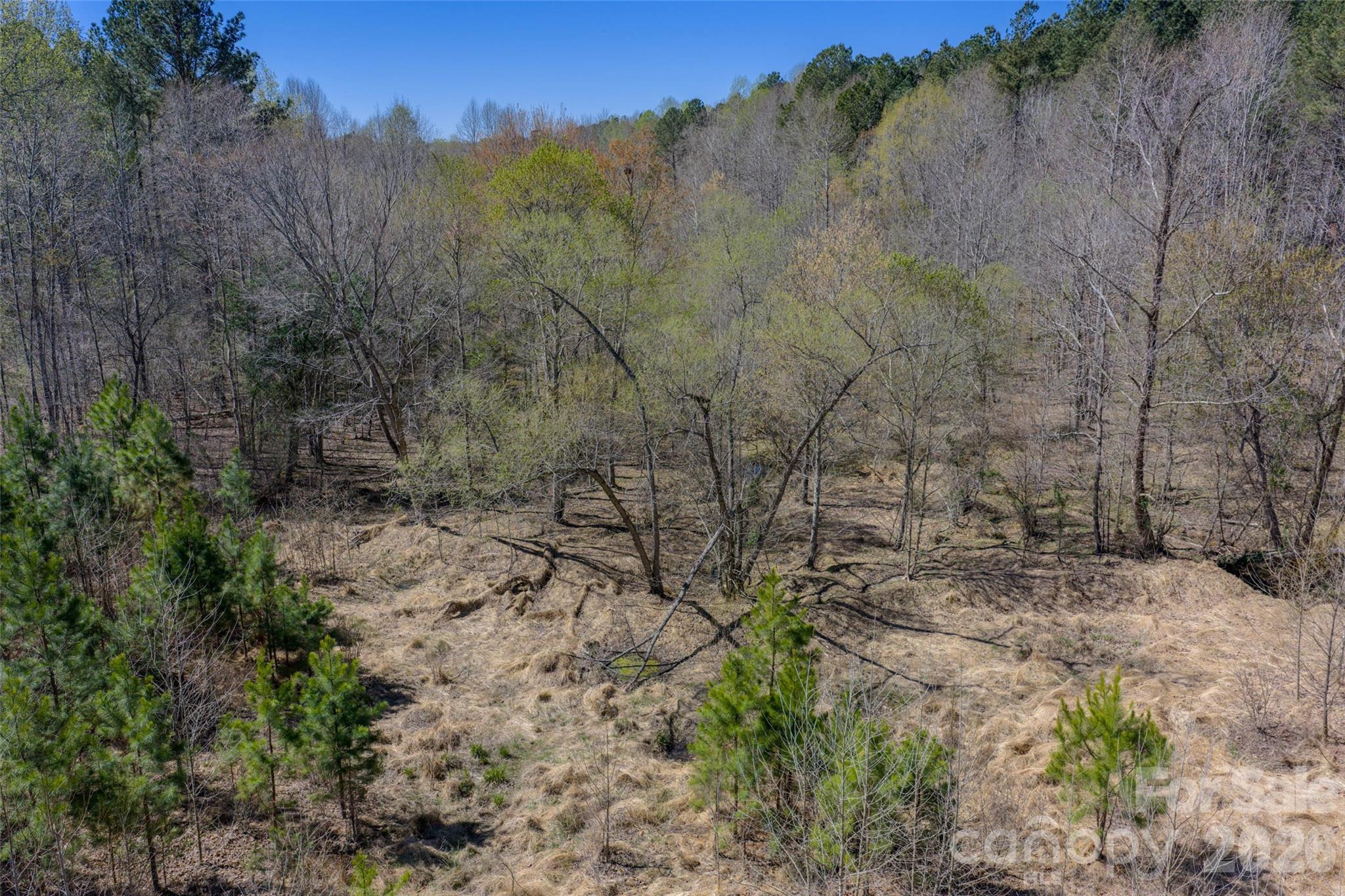 00000 Frazier Road Property Photo 12