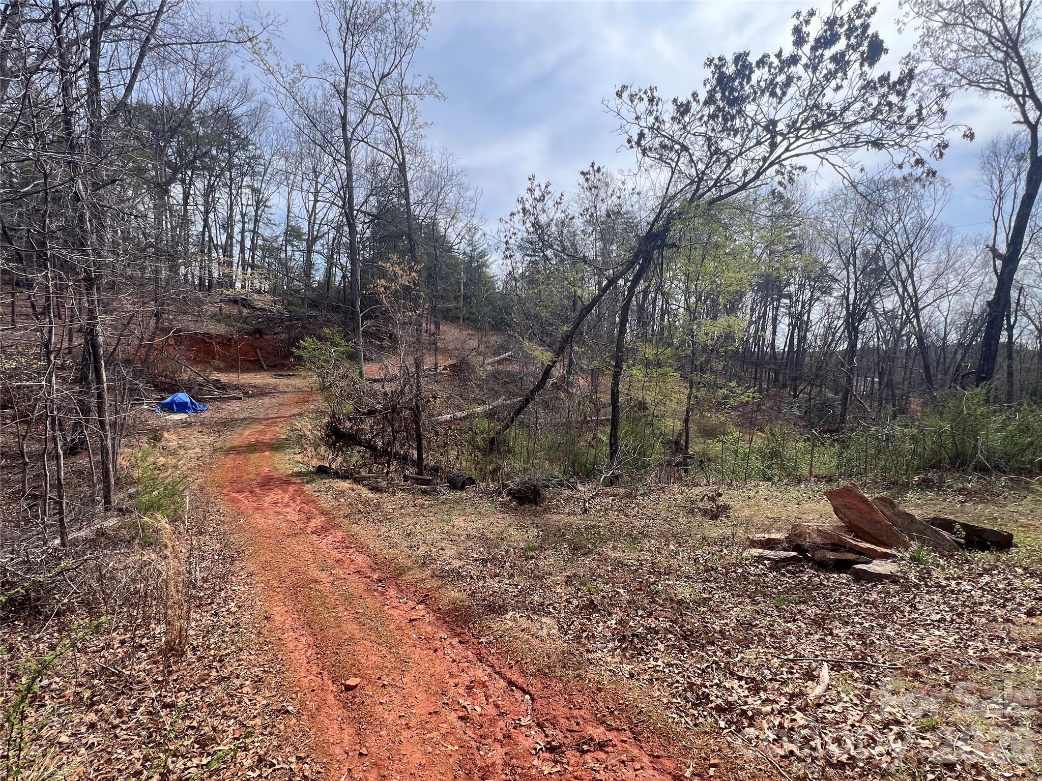 365 Hillbilly Lane Property Photo 15