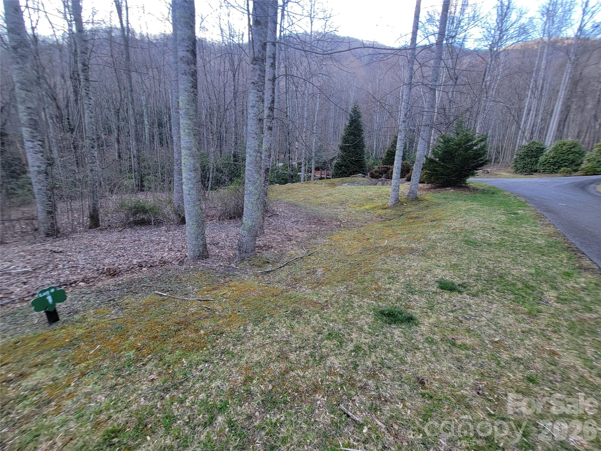 00 Covecrest Drive 1 Property Photo 8