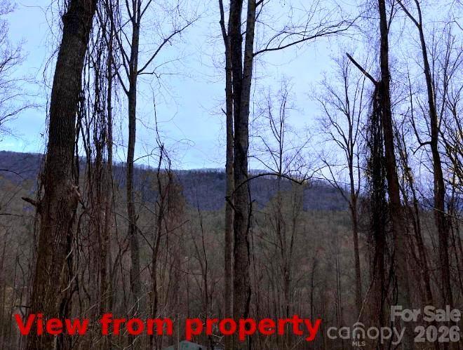 89 Weeping Cherry Forest Road Property Photo 2