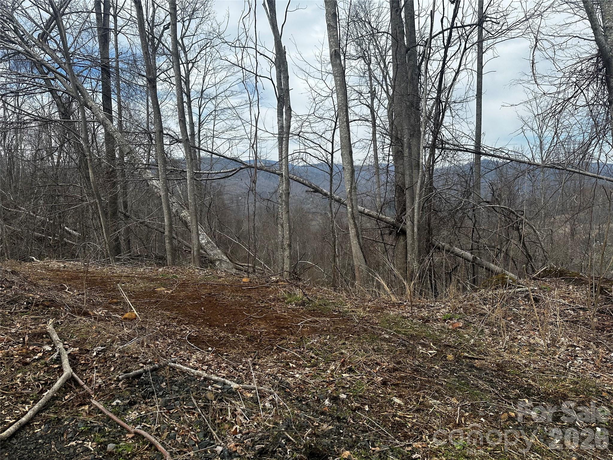 00 Bear Ridge Road Property Photo 1