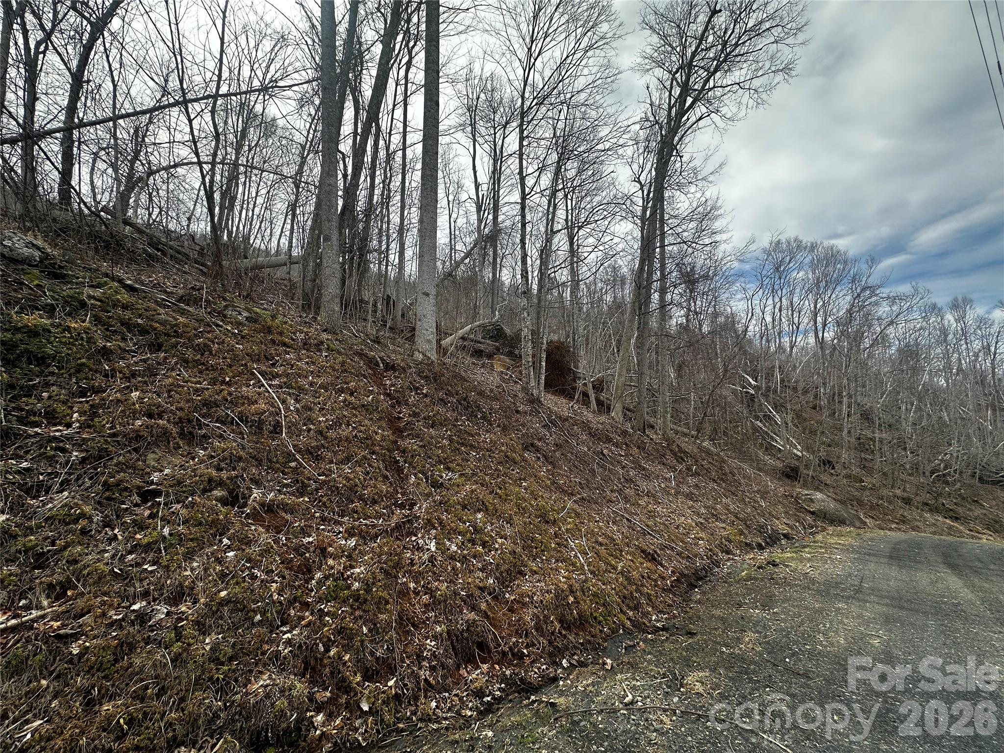 00 Bear Ridge Road Property Photo 2