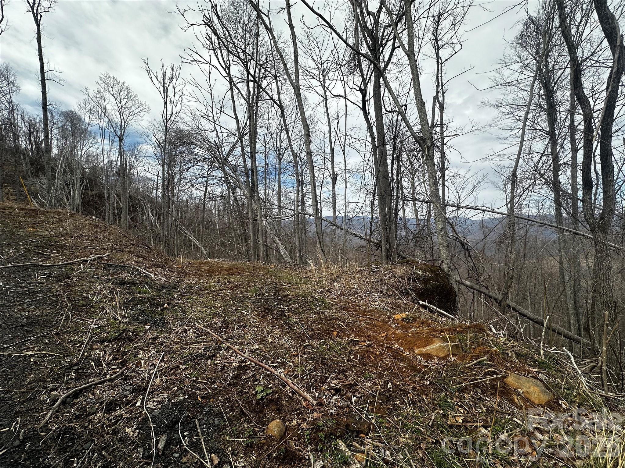 00 Bear Ridge Road Property Photo 3
