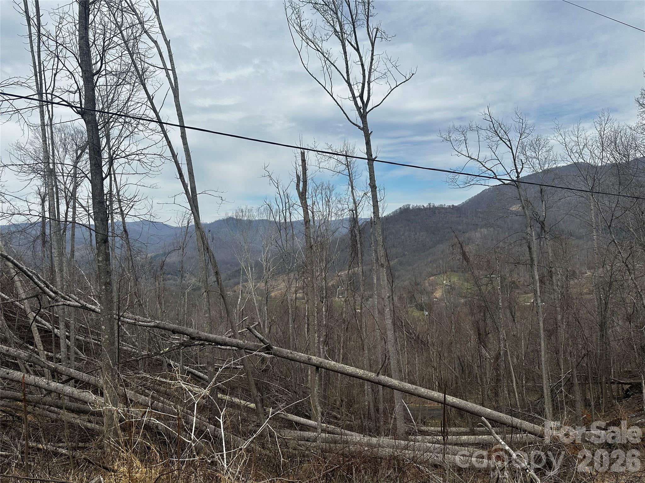 00 Bear Ridge Road Property Photo 4