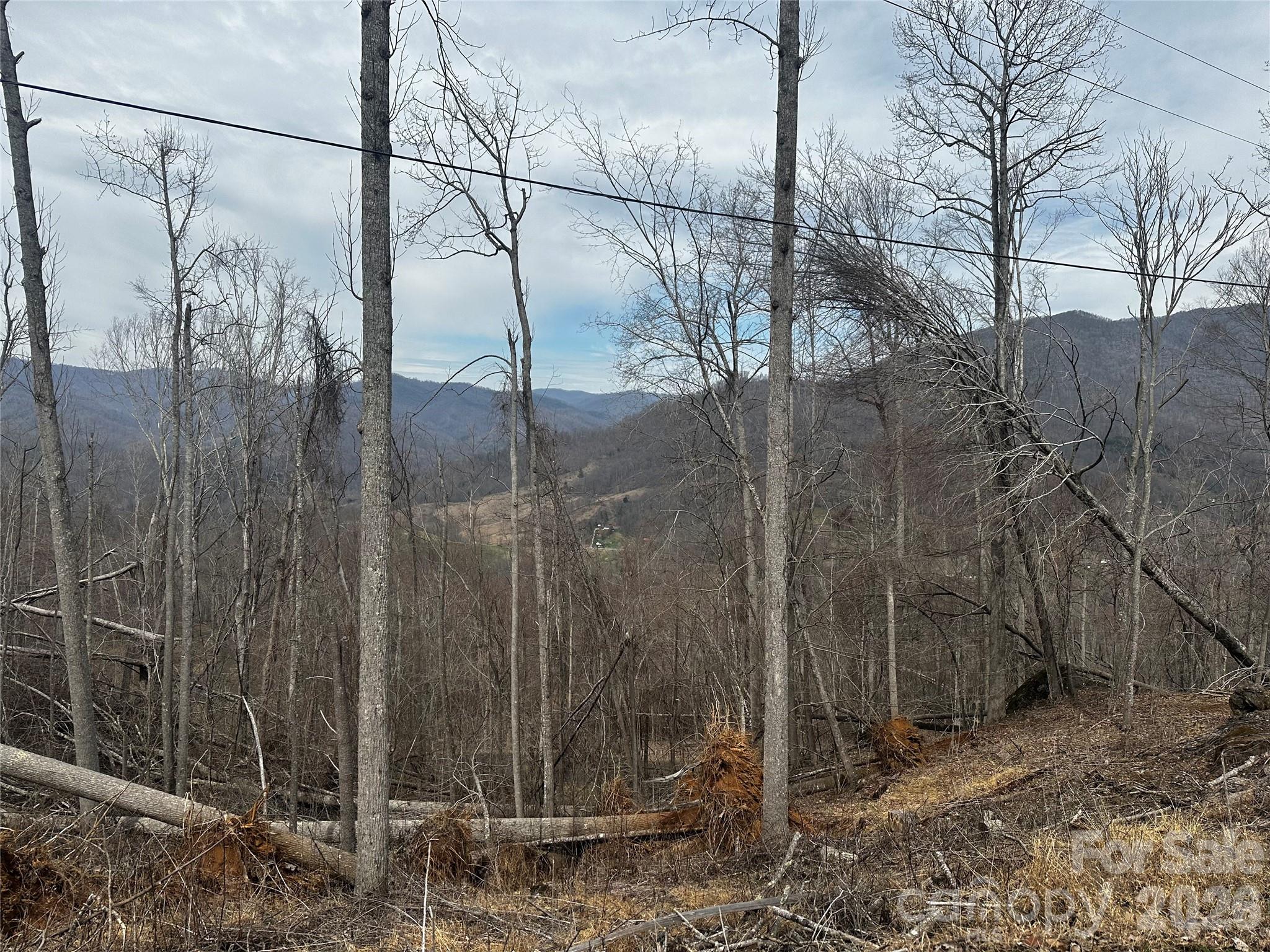 00 Bear Ridge Road Property Photo 6