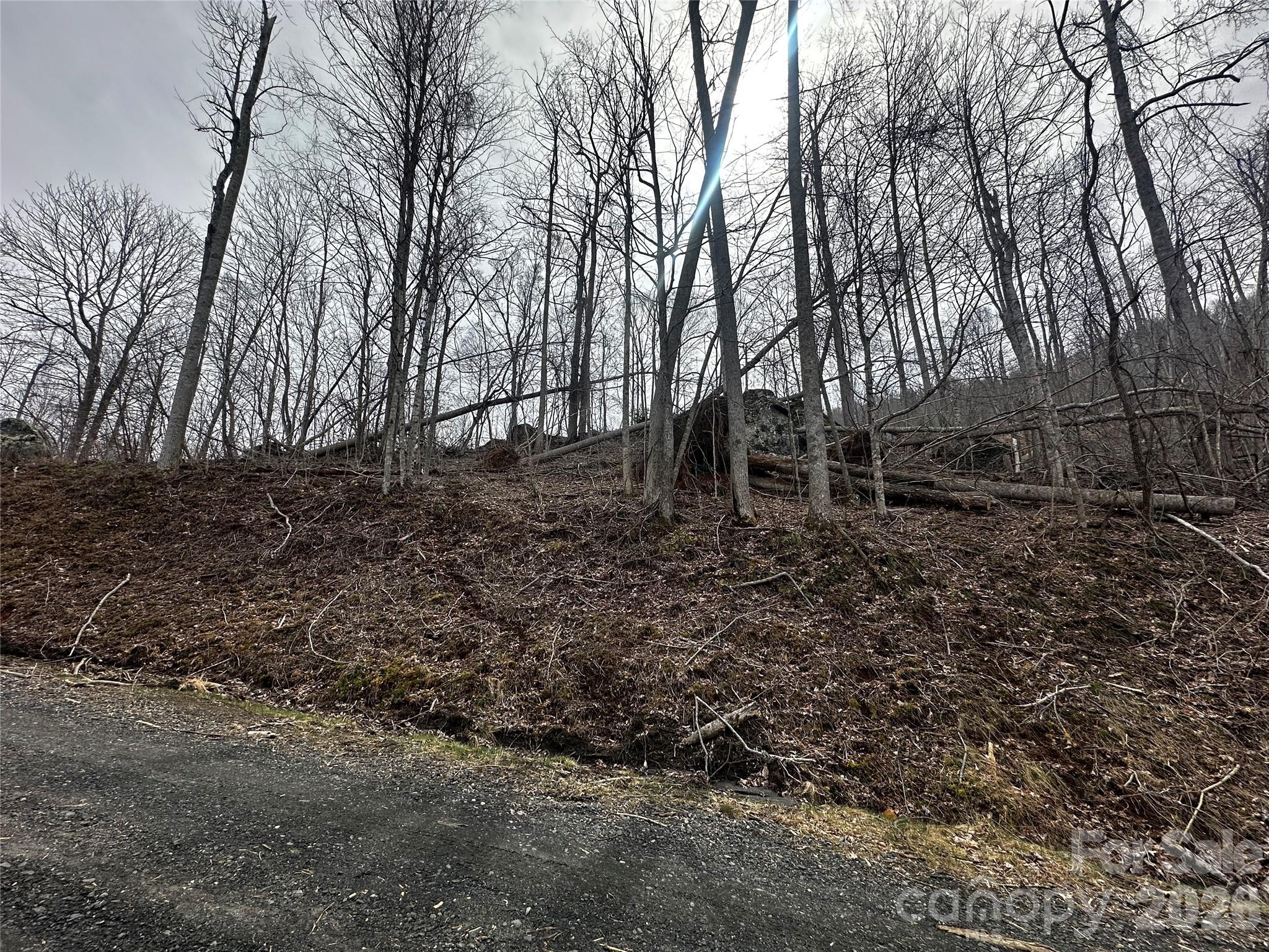 00 Bear Ridge Road Property Photo 7