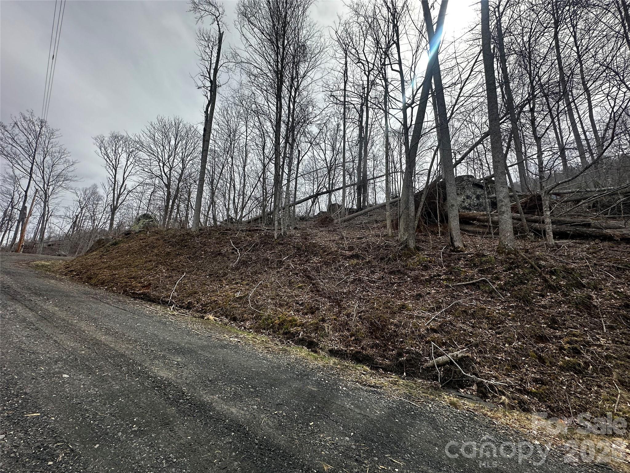 00 Bear Ridge Road Property Photo 8