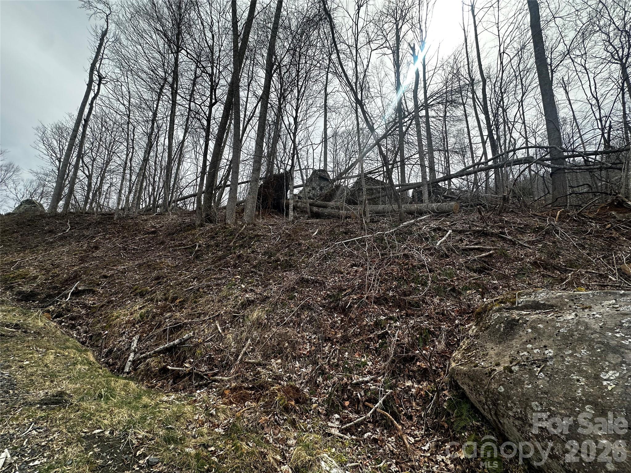 00 Bear Ridge Road Property Photo 10
