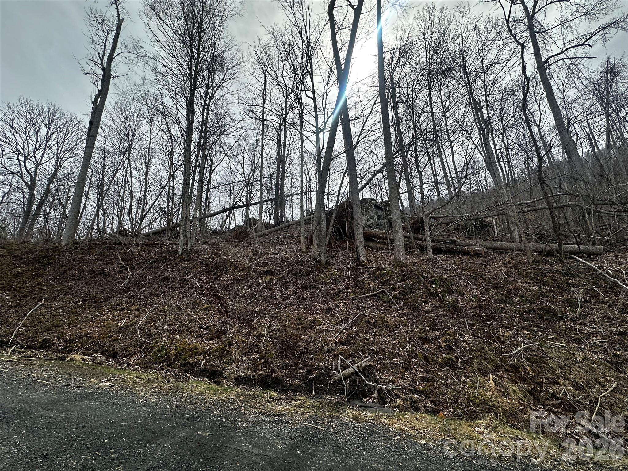 00 Bear Ridge Road Property Photo 11