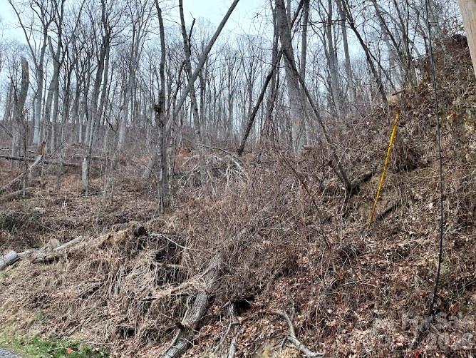 65 Weeping Cherry Forest Road Property Photo 2