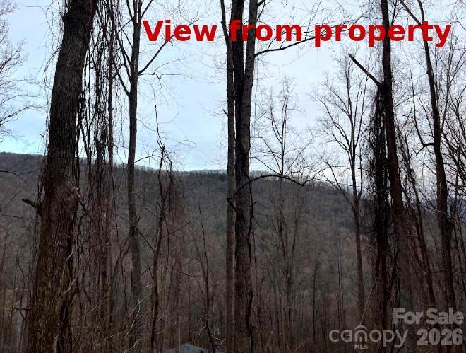 65 Weeping Cherry Forest Road Property Photo 3