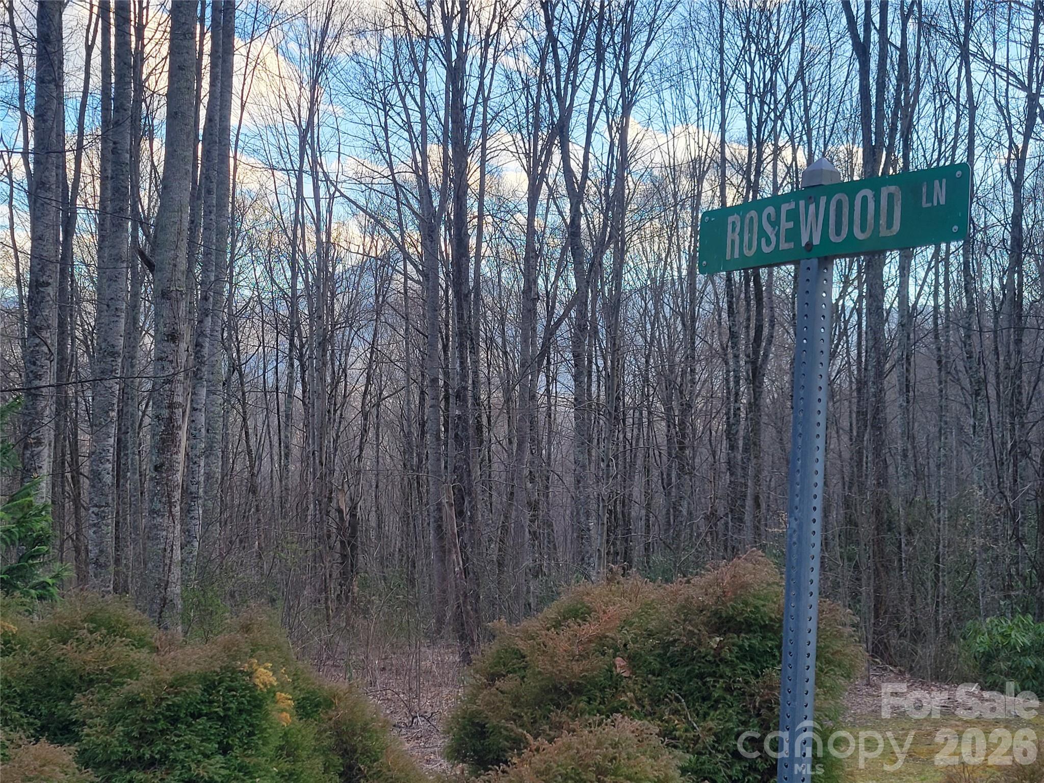 00 Rosewood Lane 11 Property Photo 6