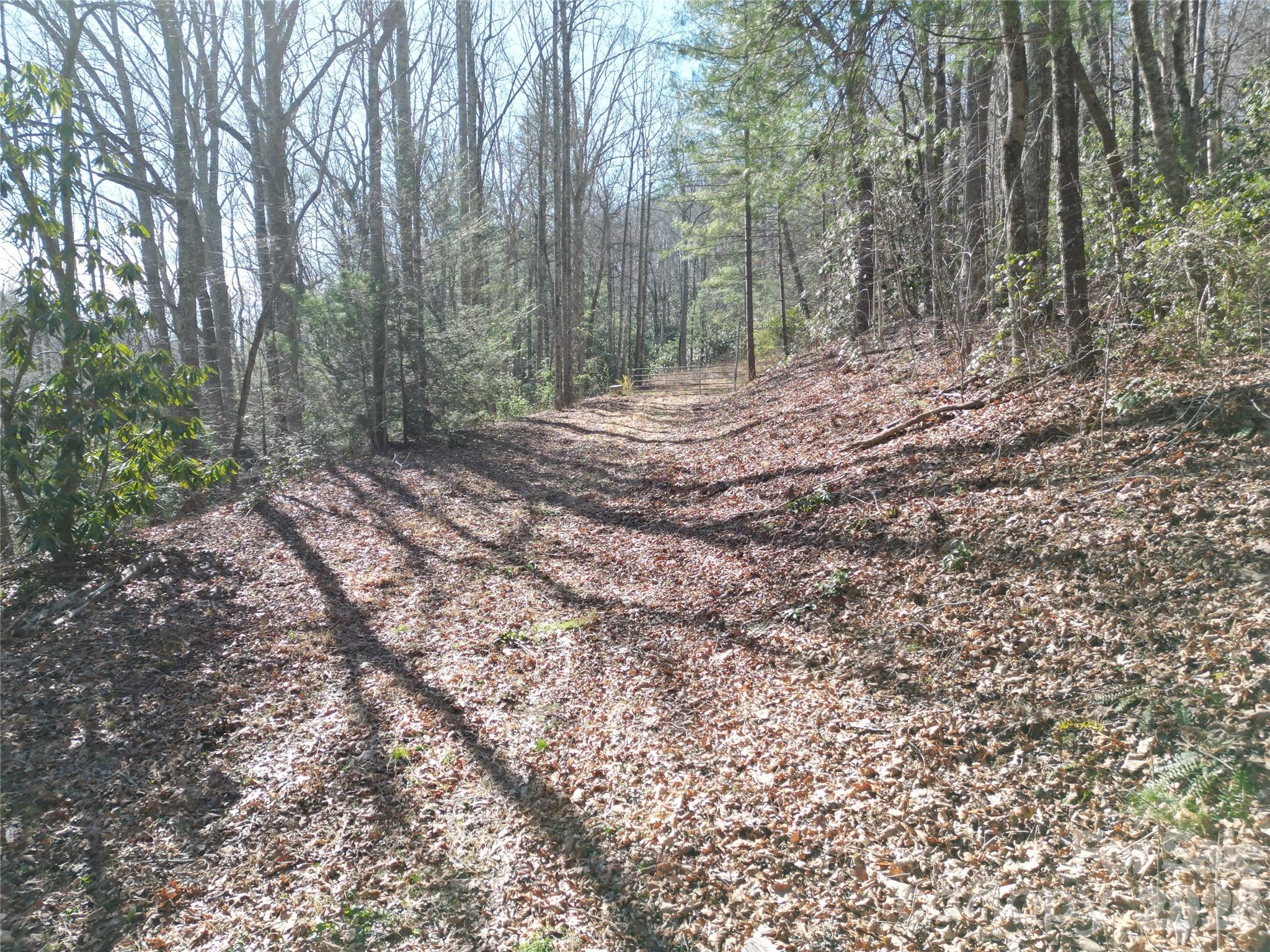 49 Reeds Creek Road Property Photo 2
