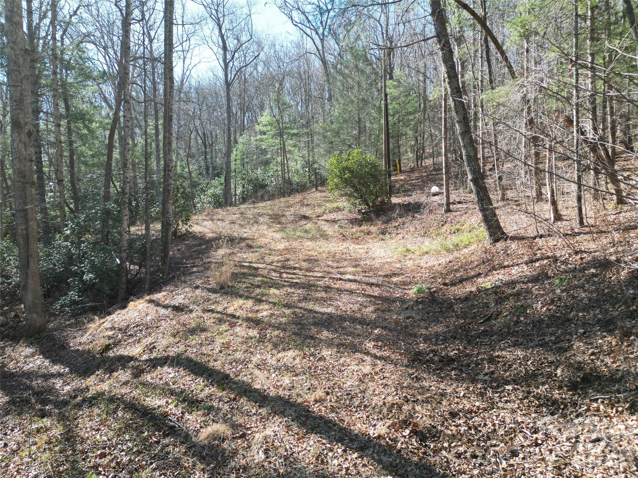 49 Reeds Creek Road Property Photo 3