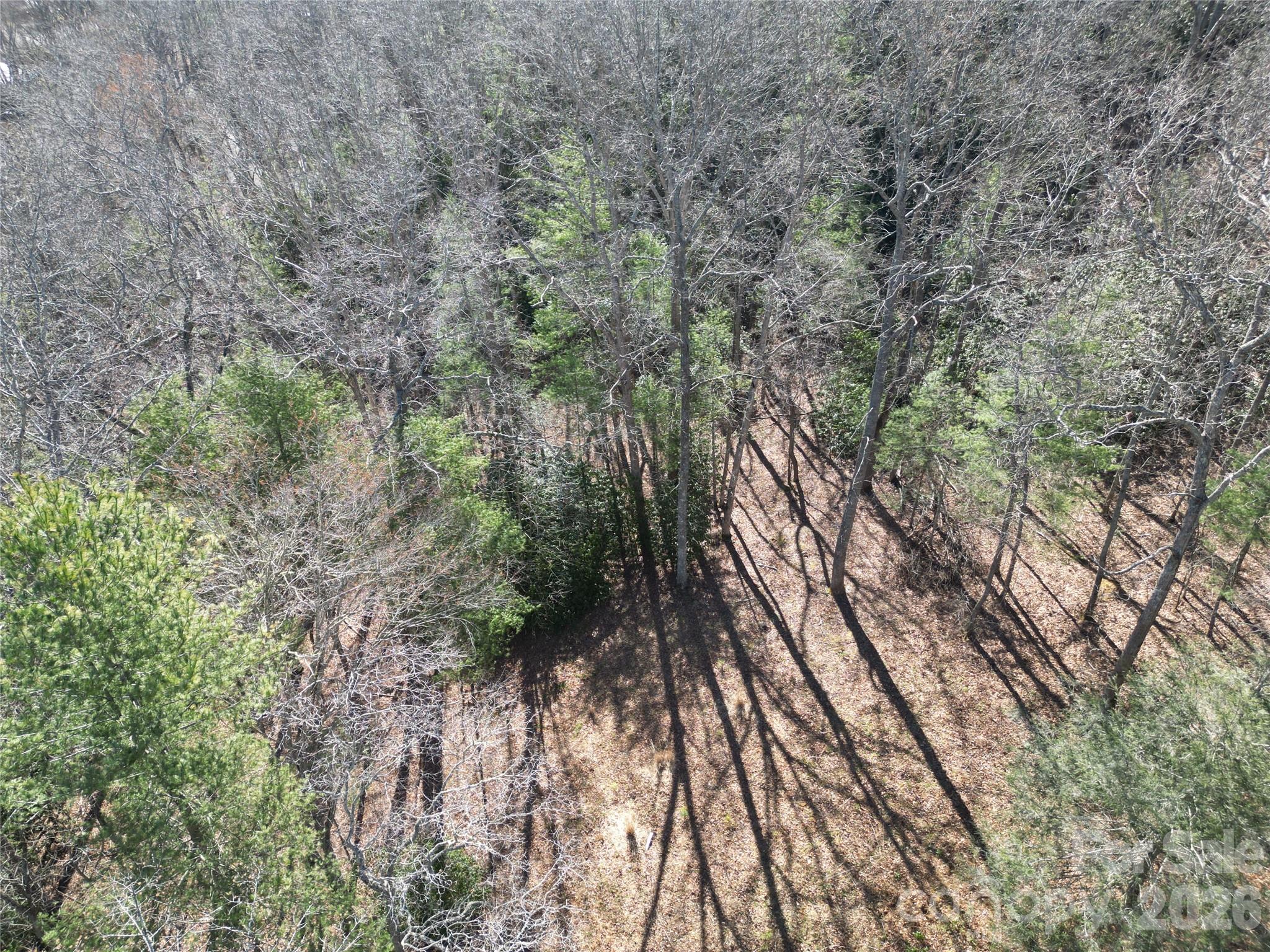 49 Reeds Creek Road Property Photo 4