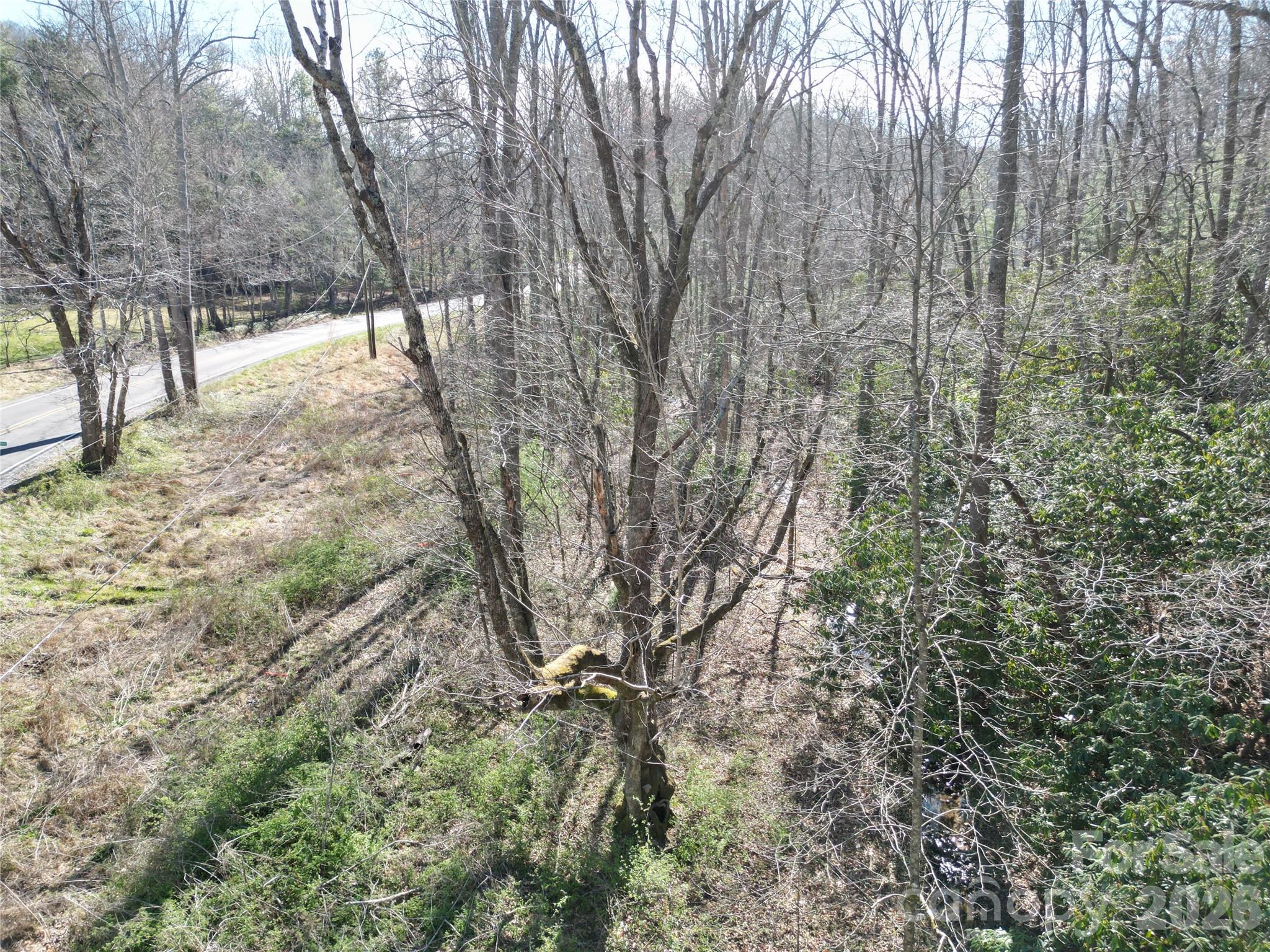 49 Reeds Creek Road Property Photo 6