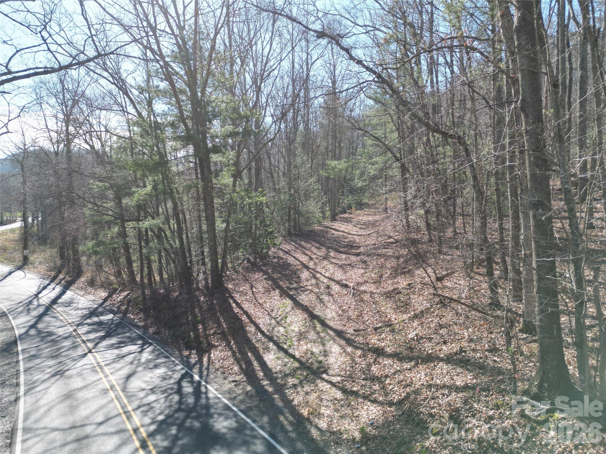 49 Reeds Creek Road Property Photo 7