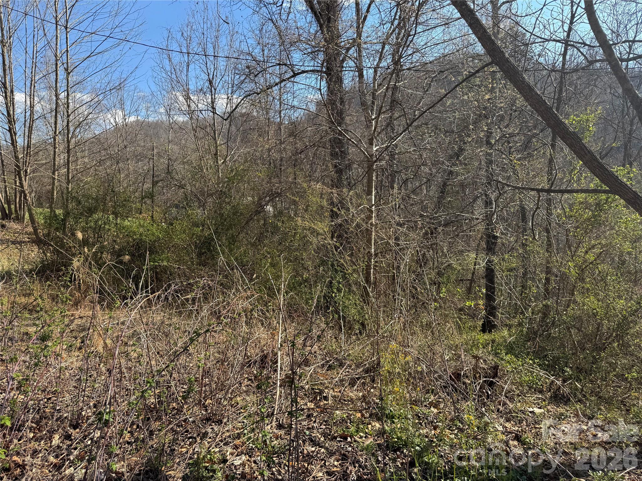 9999 Ox Creek Road Property Photo 1