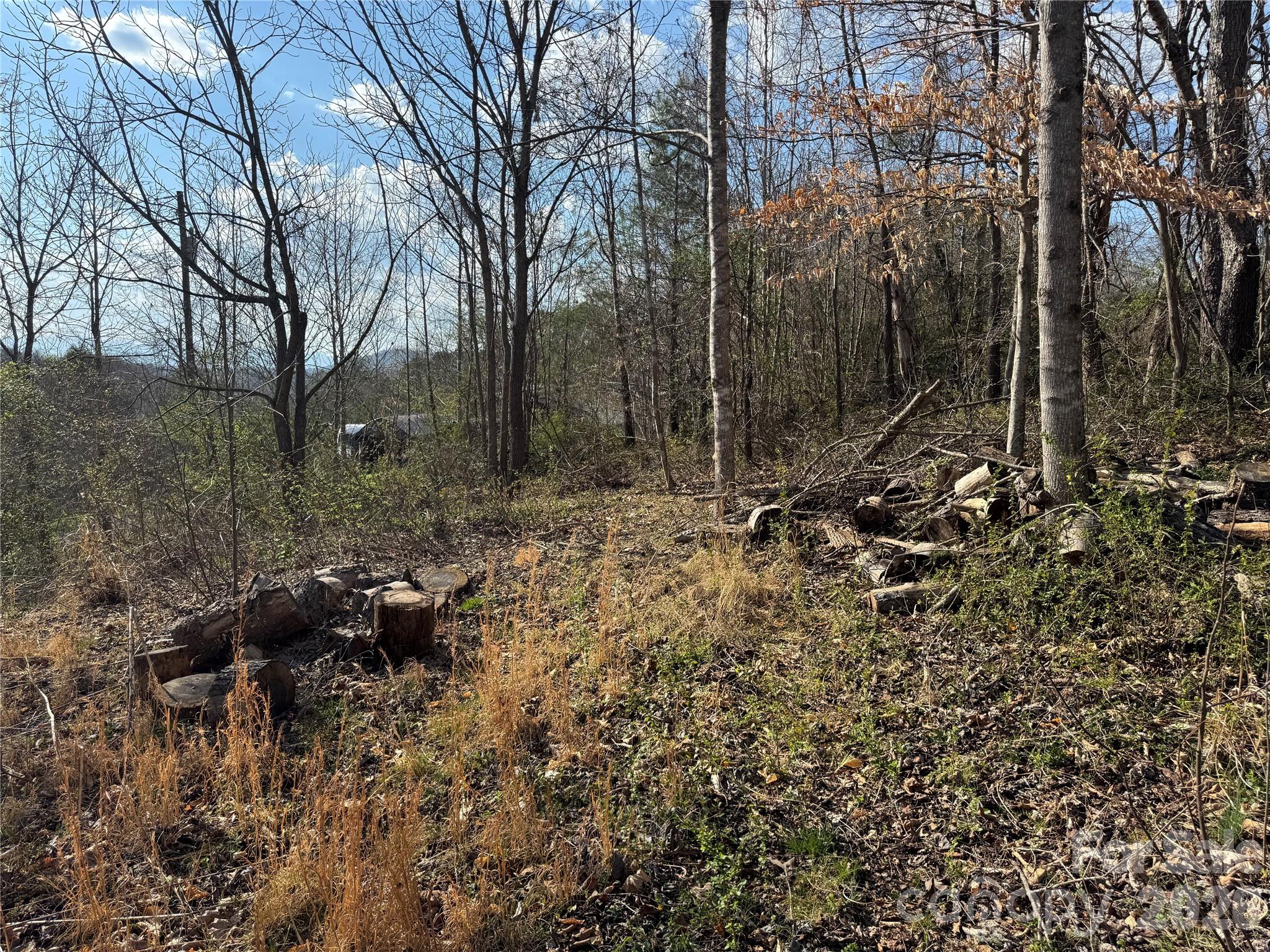 9999 Ox Creek Road Property Photo 3