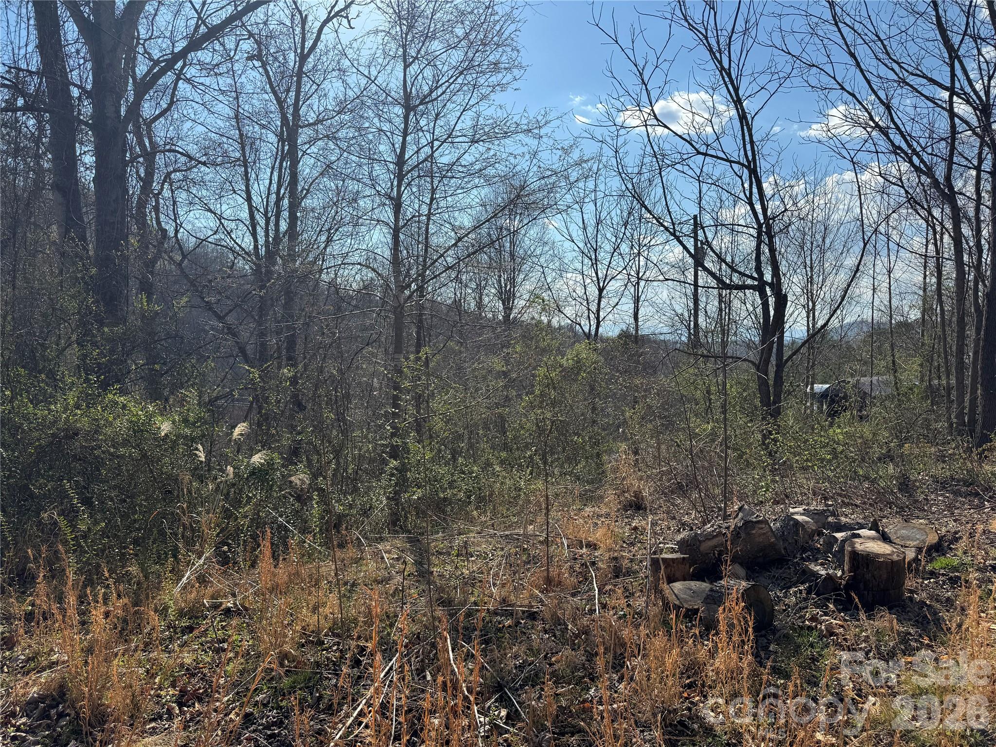 9999 Ox Creek Road Property Photo 4