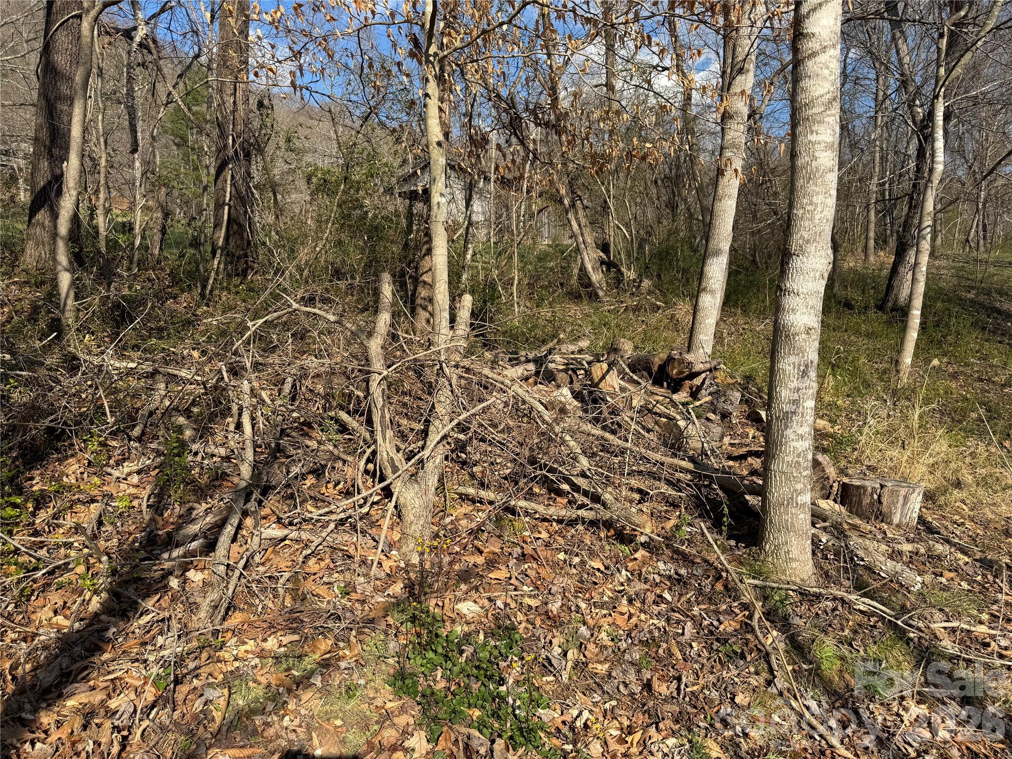 9999 Ox Creek Road Property Photo 6