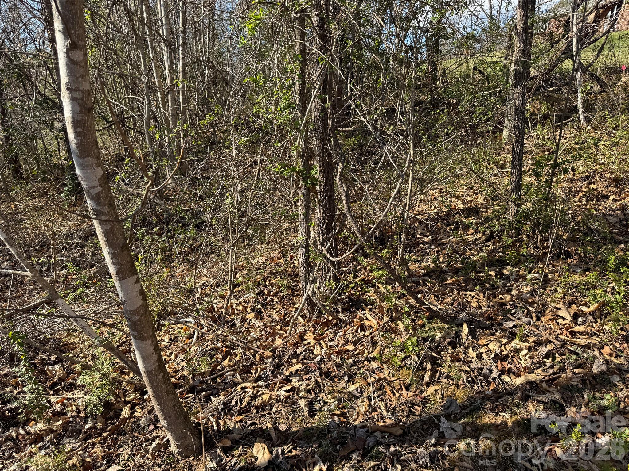 9999 Ox Creek Road Property Photo 7