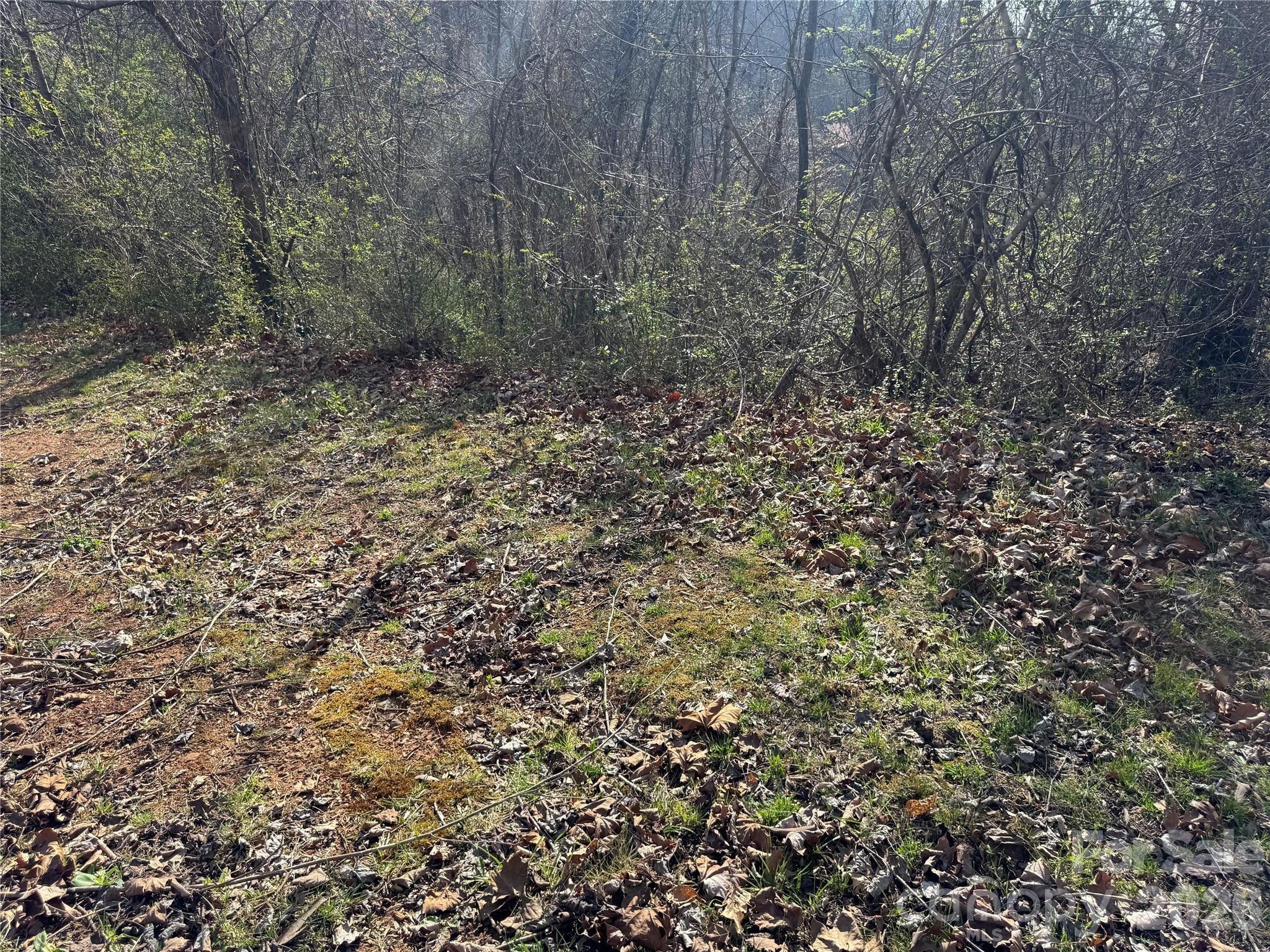 9999 Ox Creek Road Property Photo 11