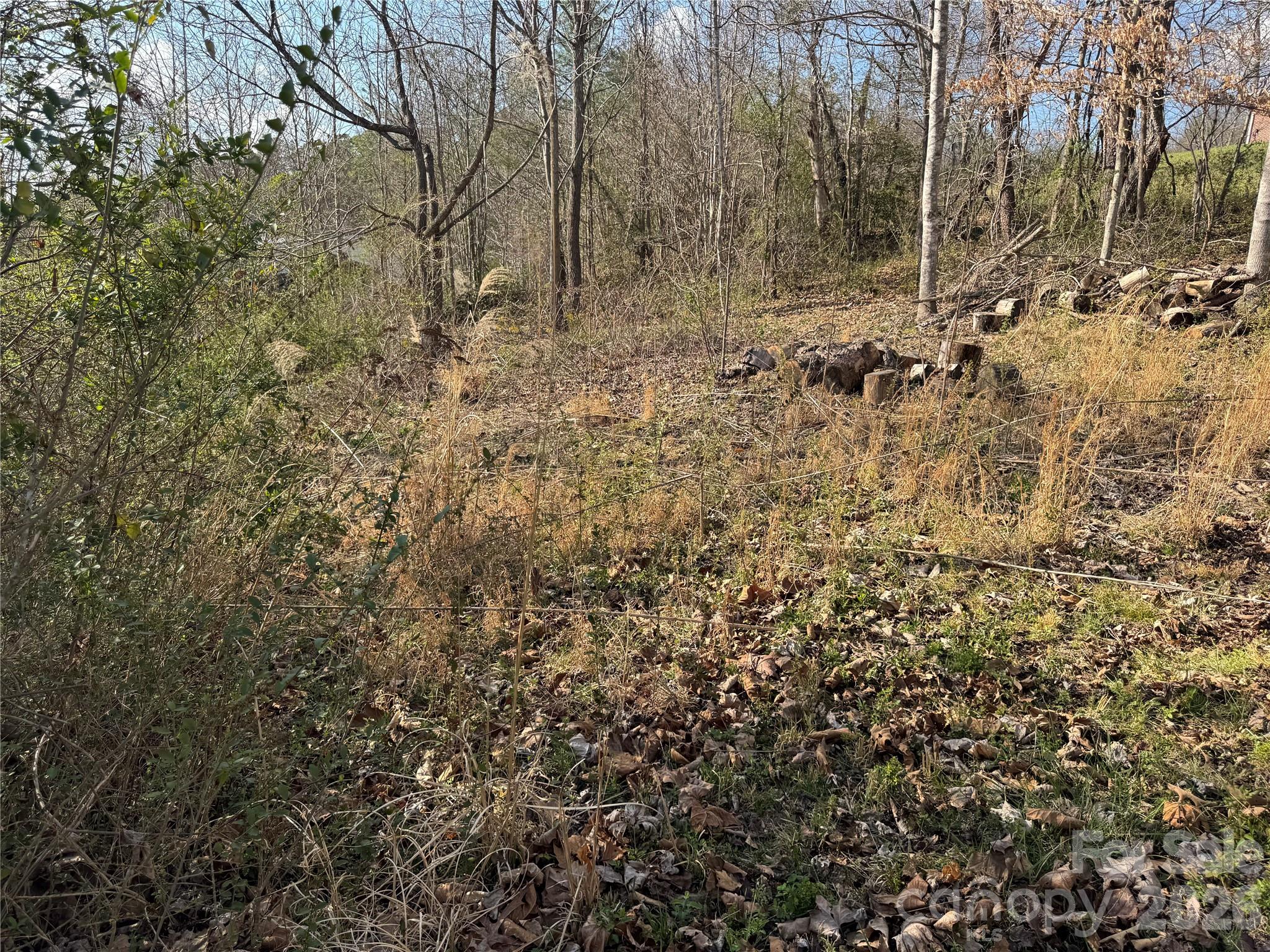 9999 Ox Creek Road Property Photo 13
