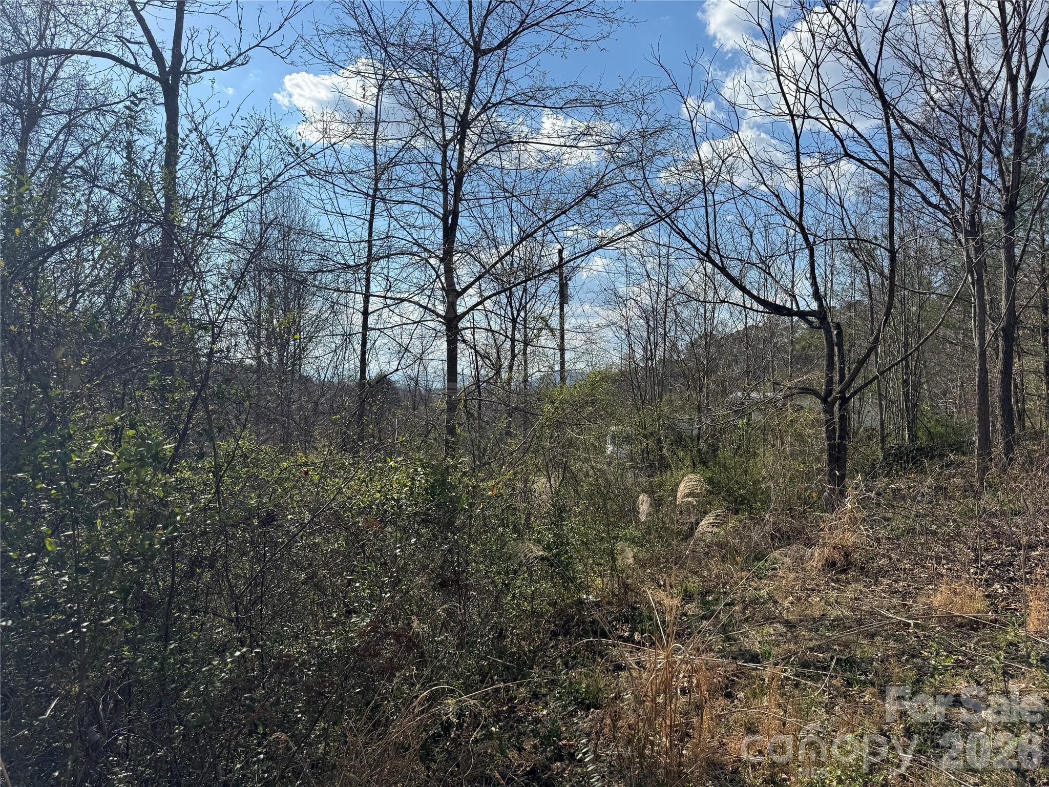 9999 Ox Creek Road Property Photo 14