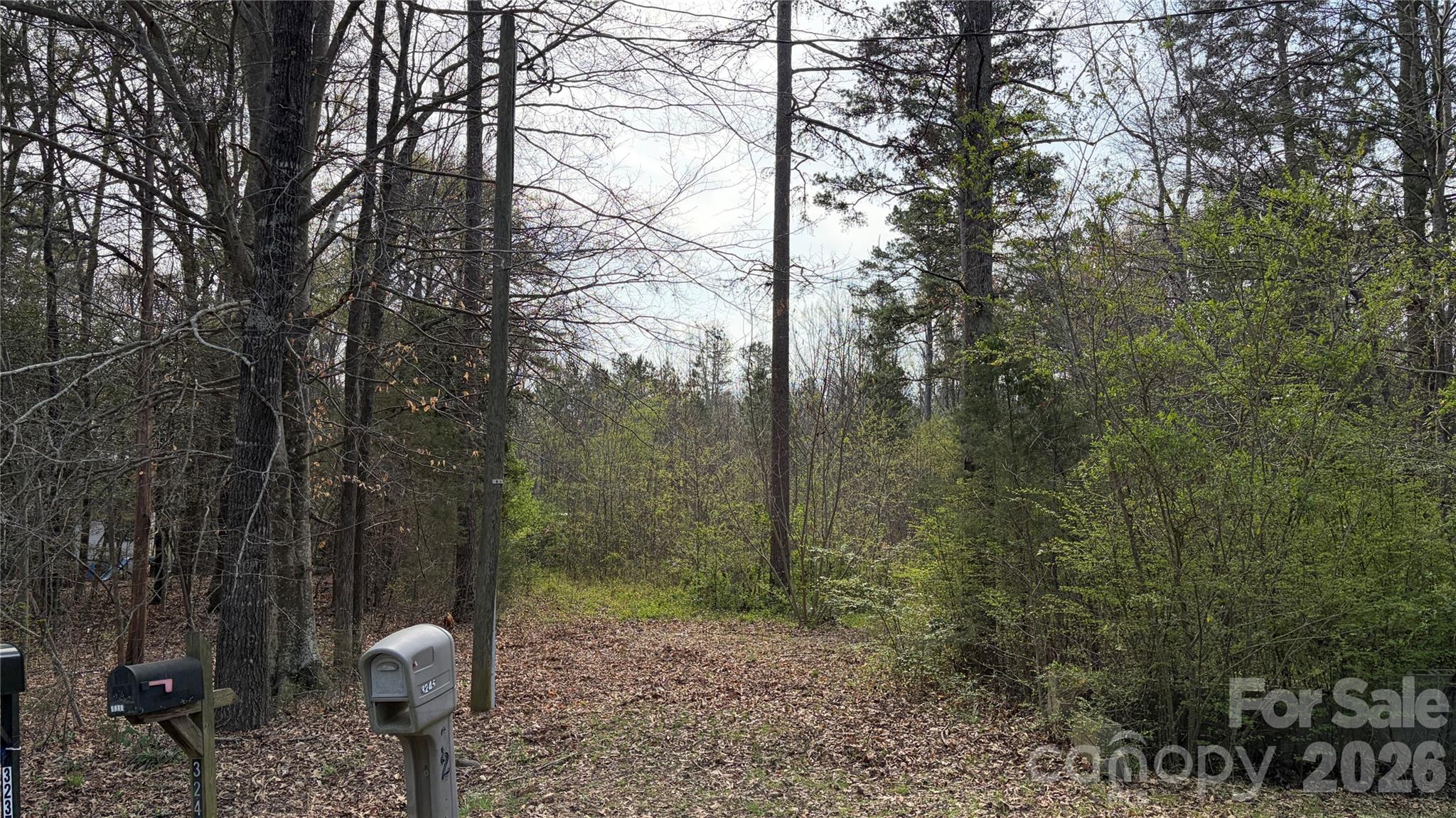 3245 Lark Drive Property Photo 3