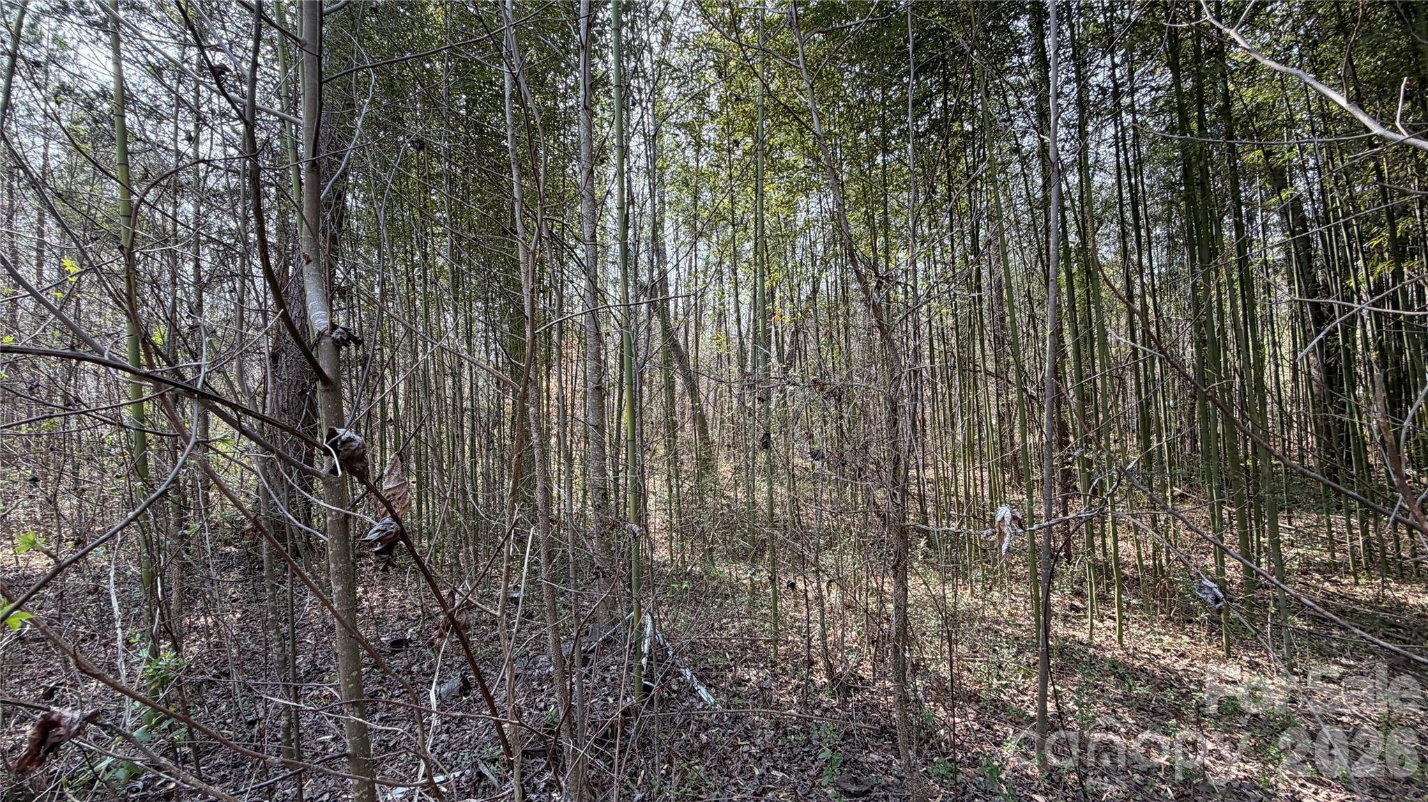 3245 Lark Drive Property Photo 7