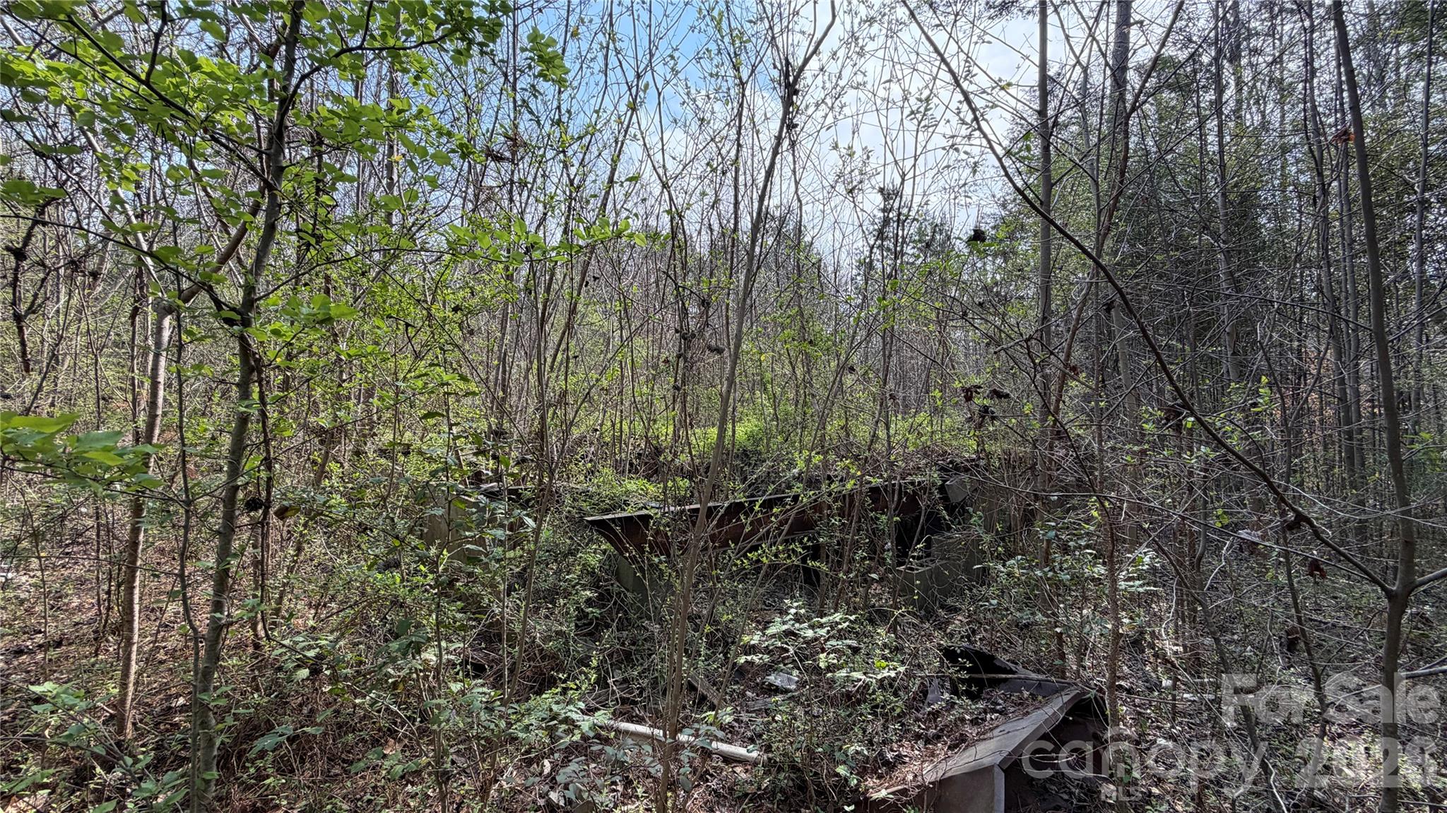 3245 Lark Drive Property Photo 8