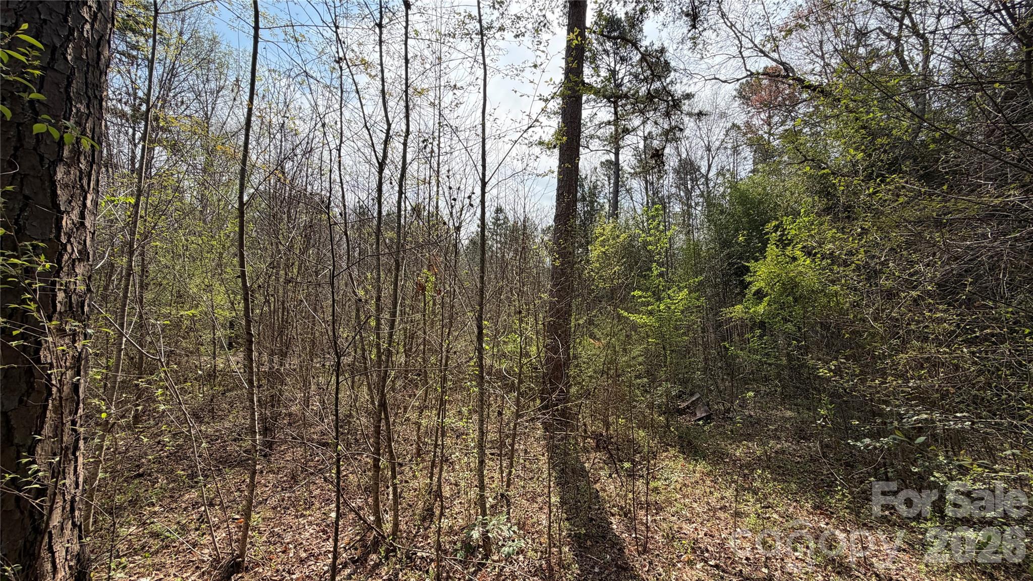 3245 Lark Drive Property Photo 10
