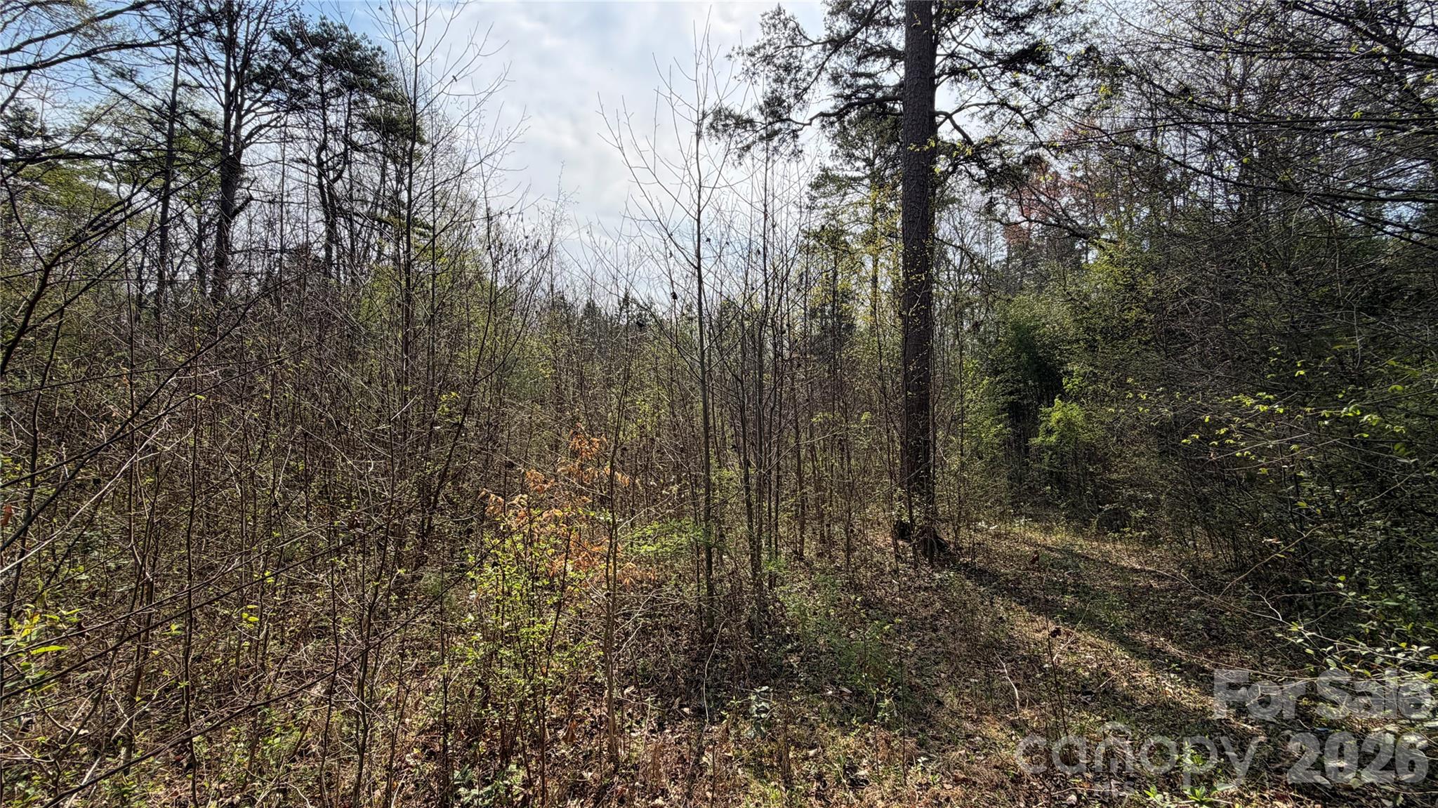 3245 Lark Drive Property Photo 11