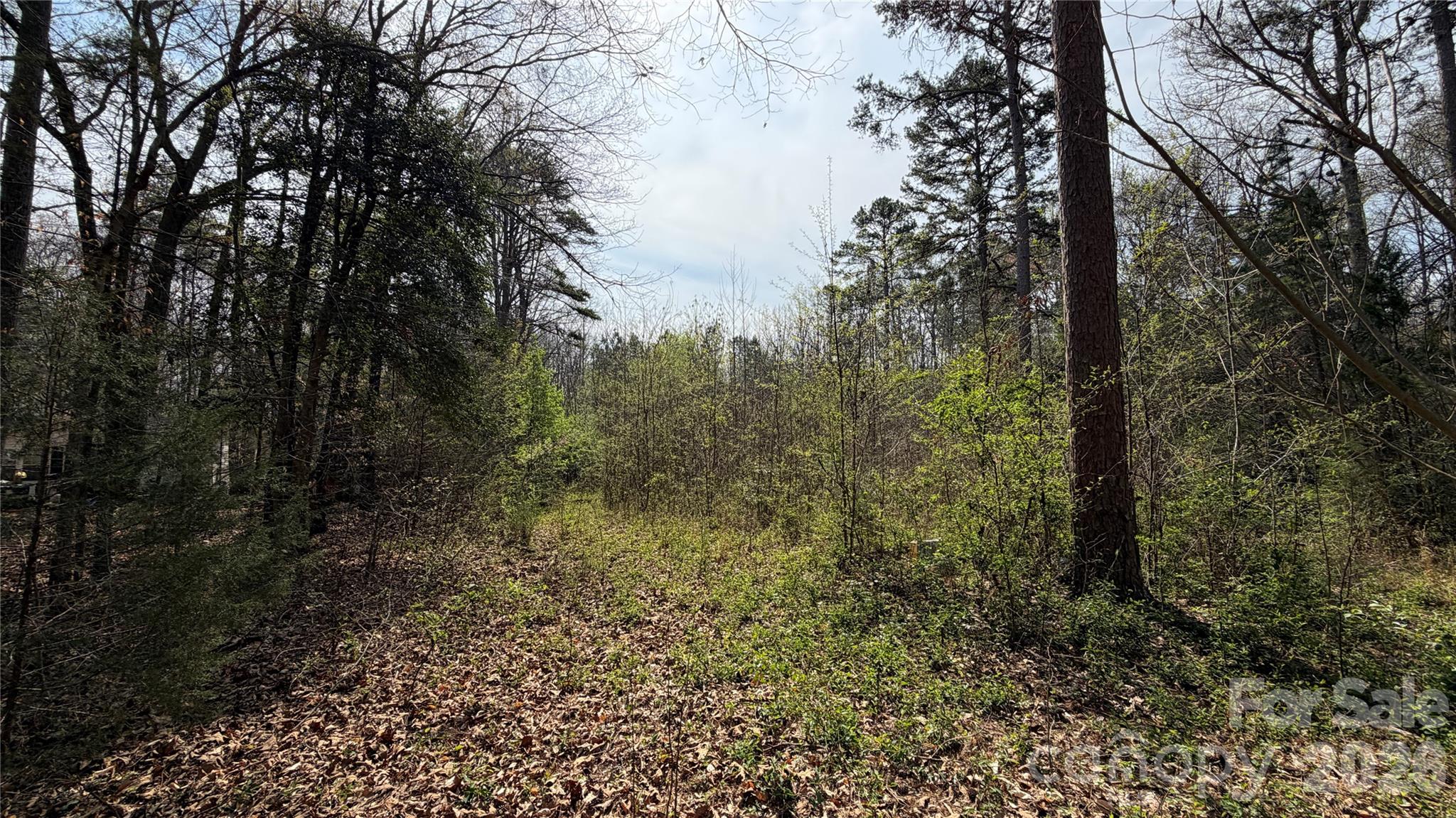 3245 Lark Drive Property Photo 12