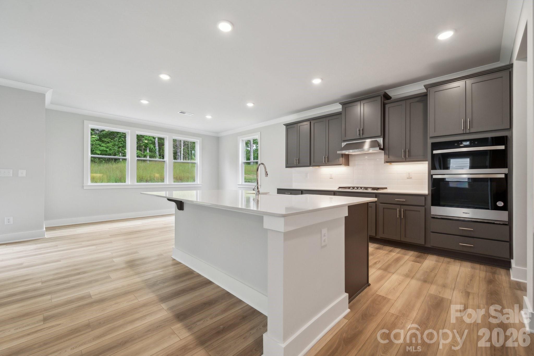 10059 Cannon Vista Lane Property Photo 10