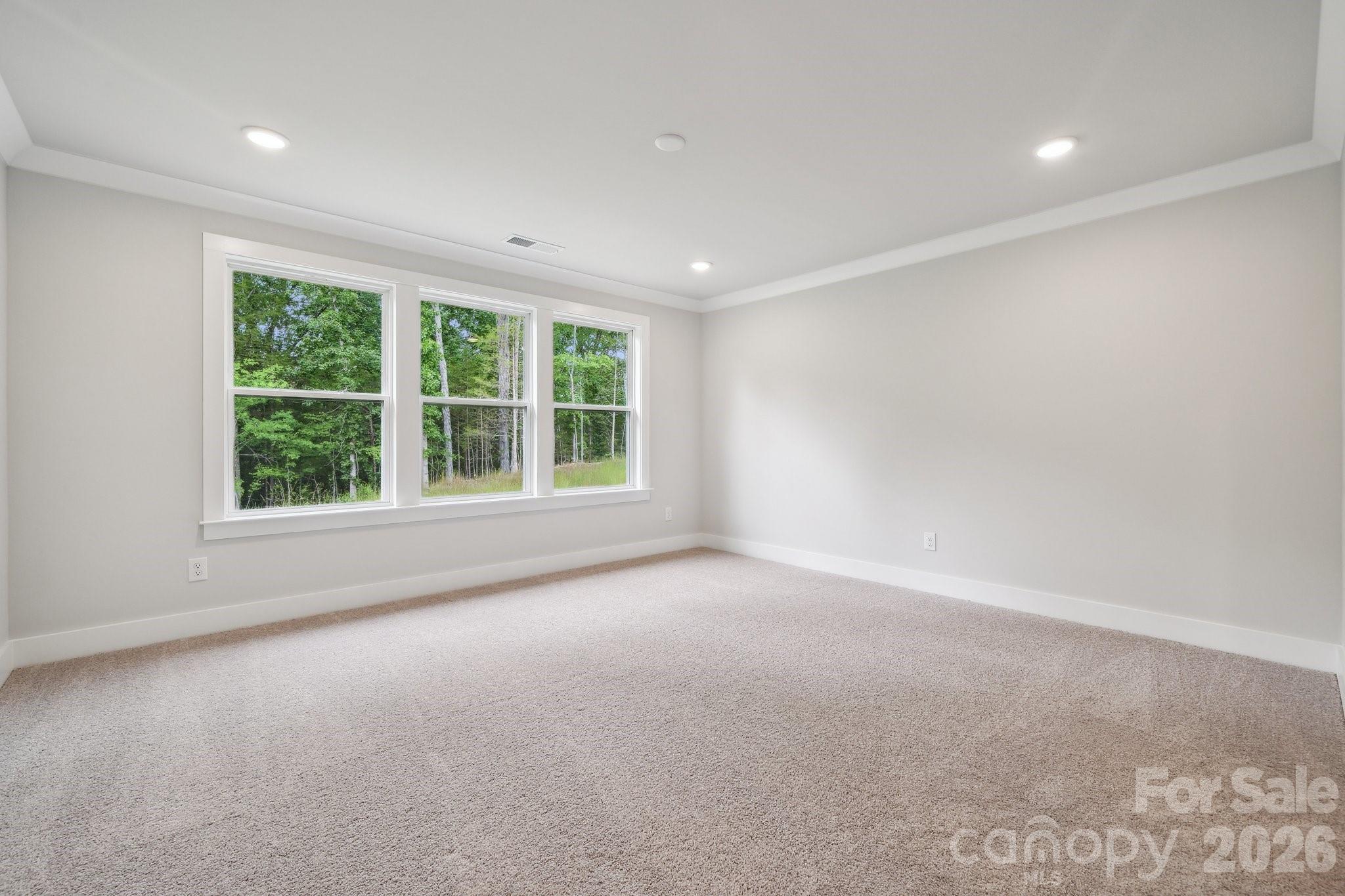 10059 Cannon Vista Lane Property Photo 18