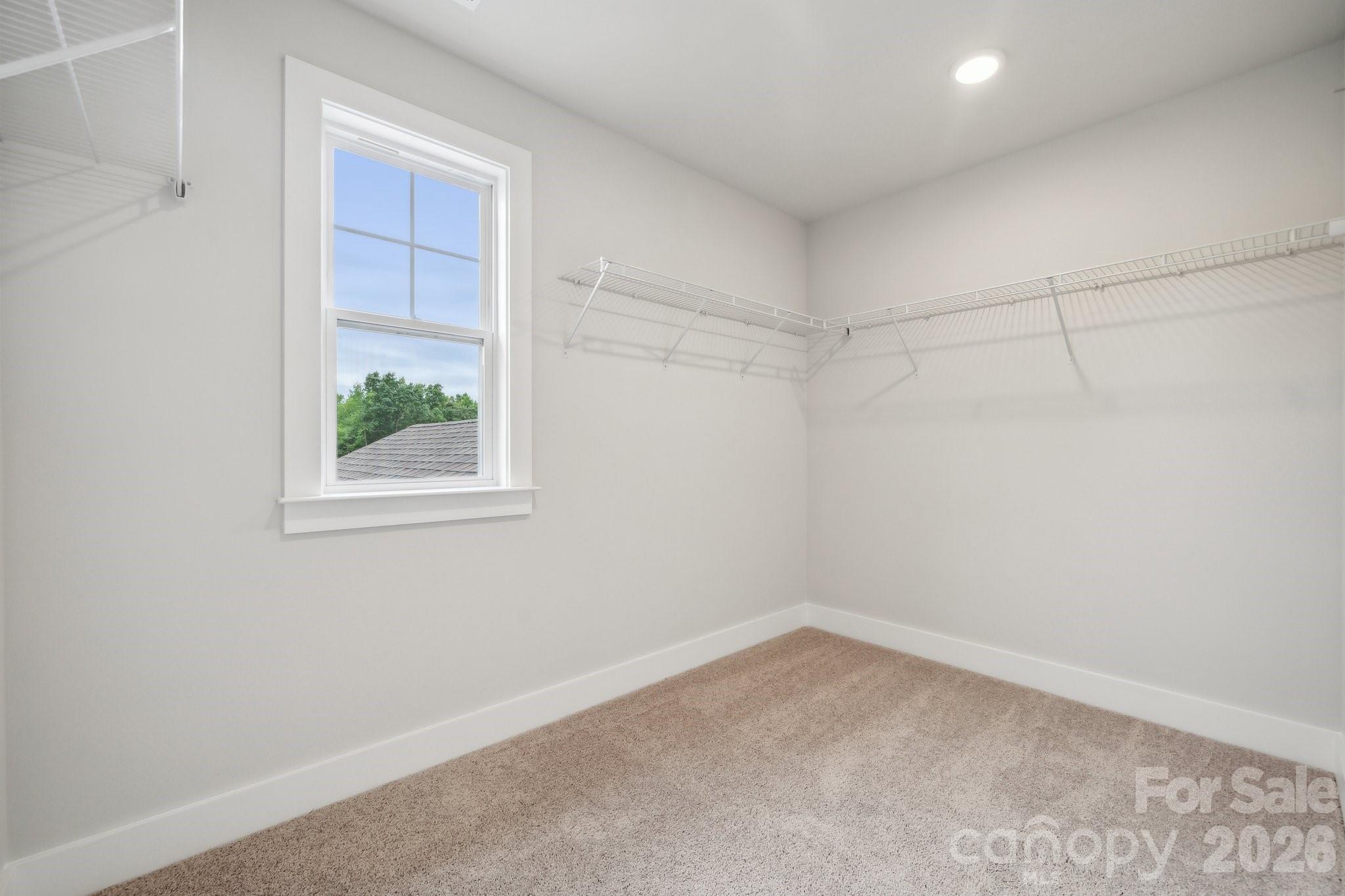 10059 Cannon Vista Lane Property Photo 21