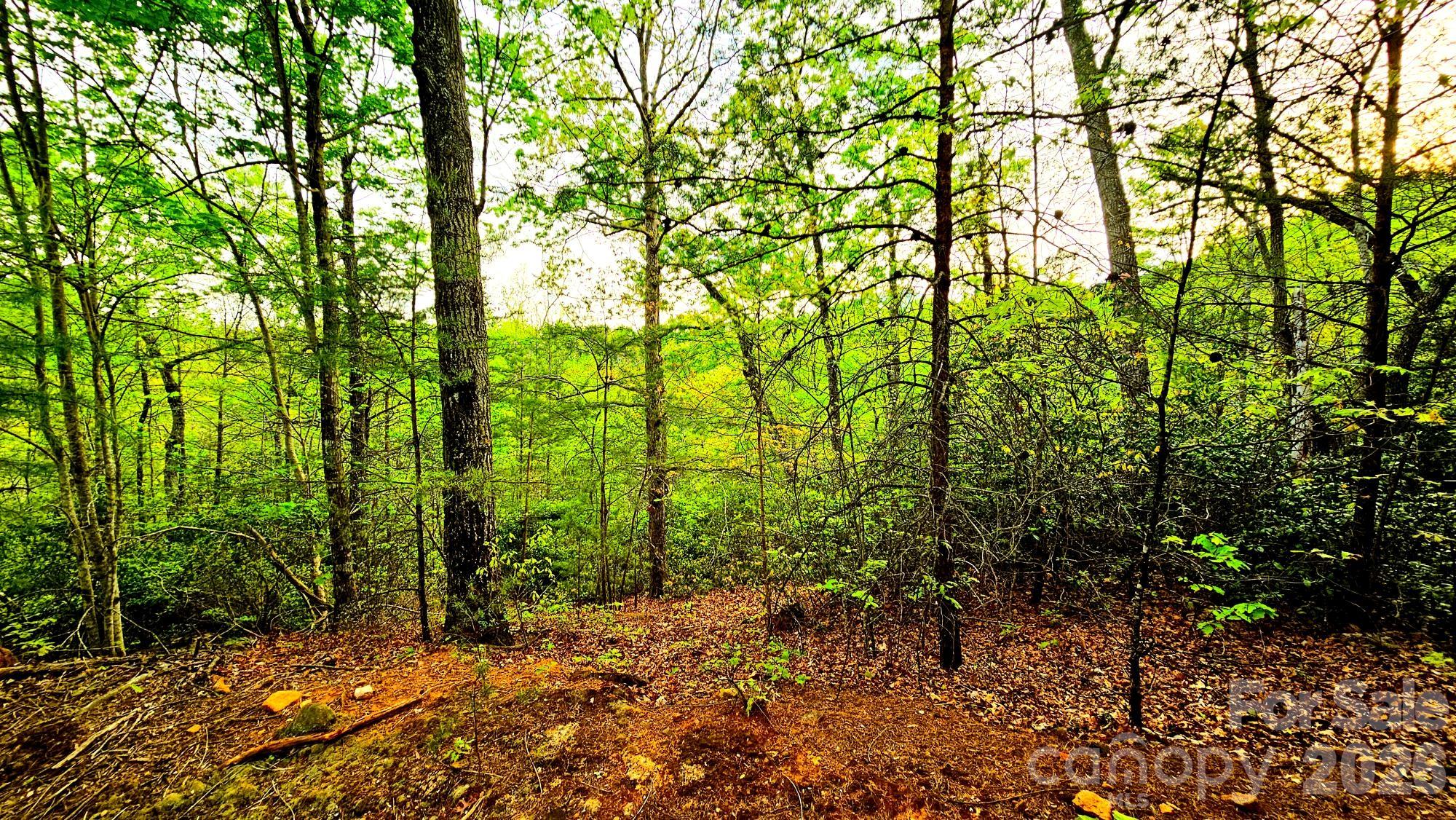 Lot 59 Bear Cliff Way Property Photo 1
