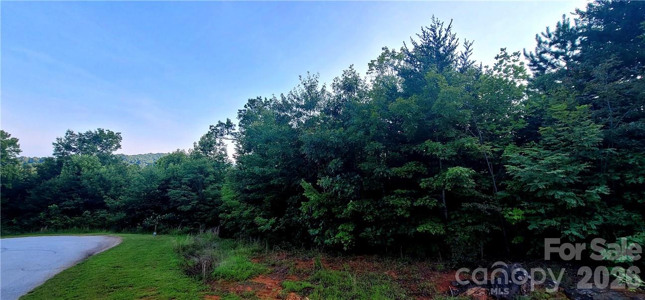 Lot 59 Bear Cliff Way Property Photo 3