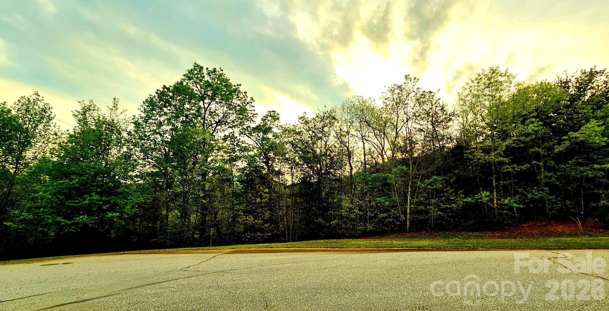 Lot 59 Bear Cliff Way Property Photo 5