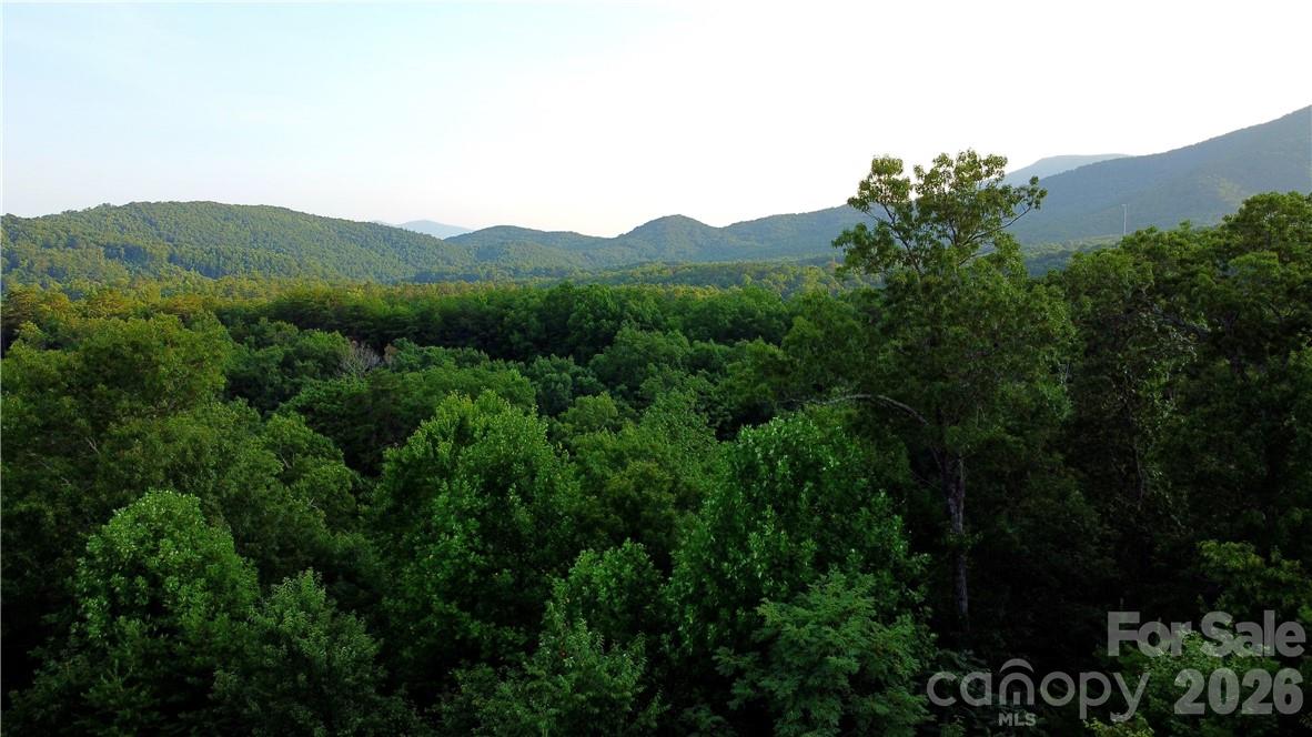 Lot 59 Bear Cliff Way Property Photo 13