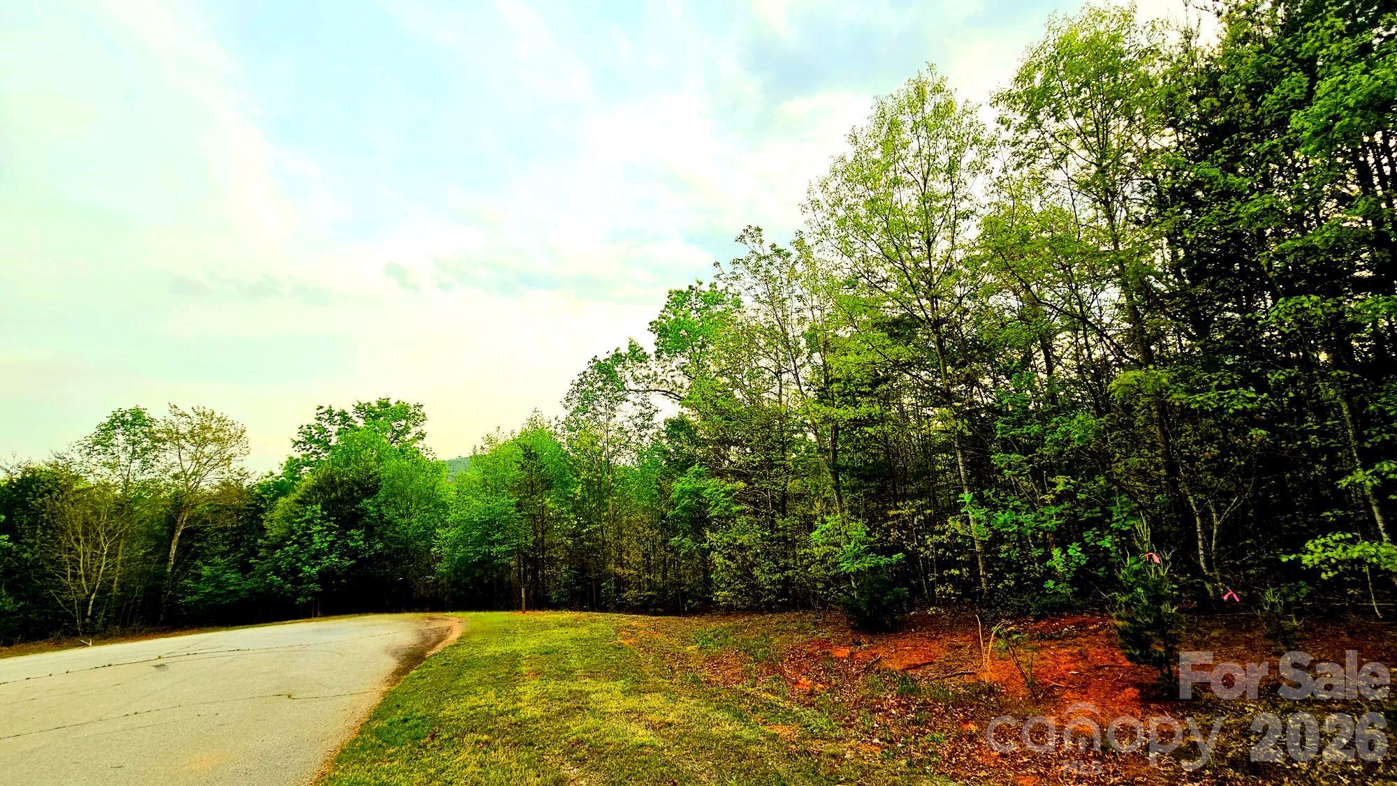 Lot 59 Bear Cliff Way Property Photo 14