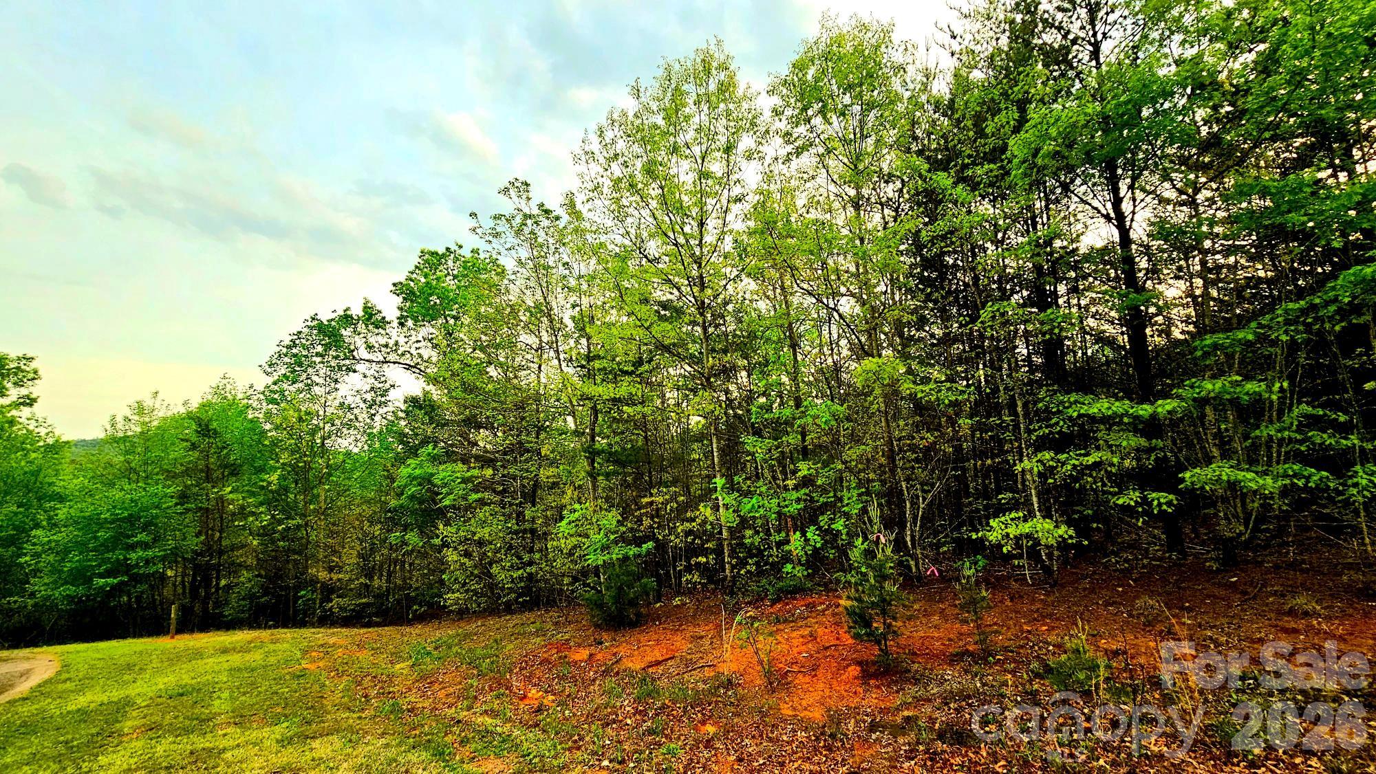 Lot 59 Bear Cliff Way Property Photo 15